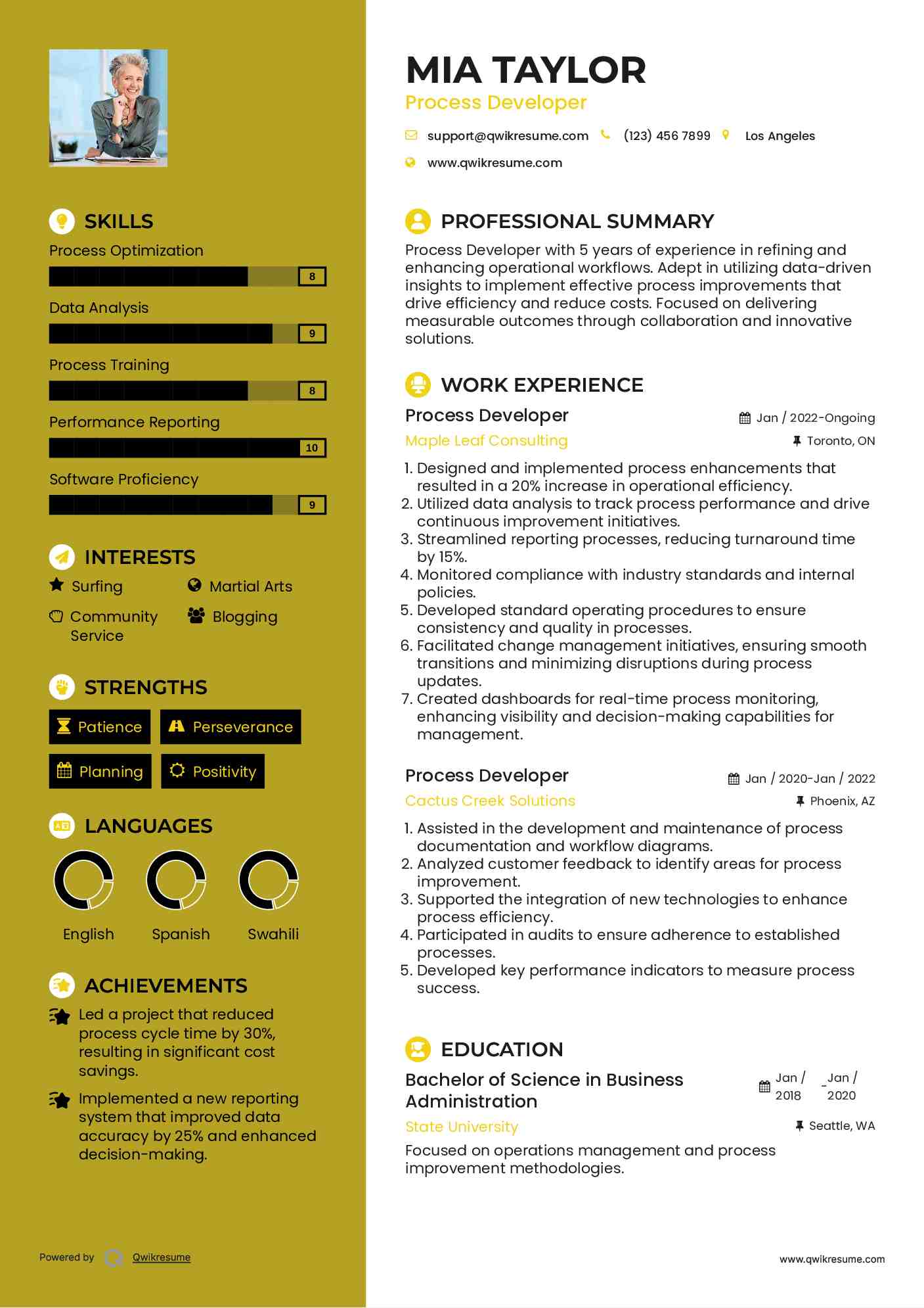 Process Developer Resume Sample