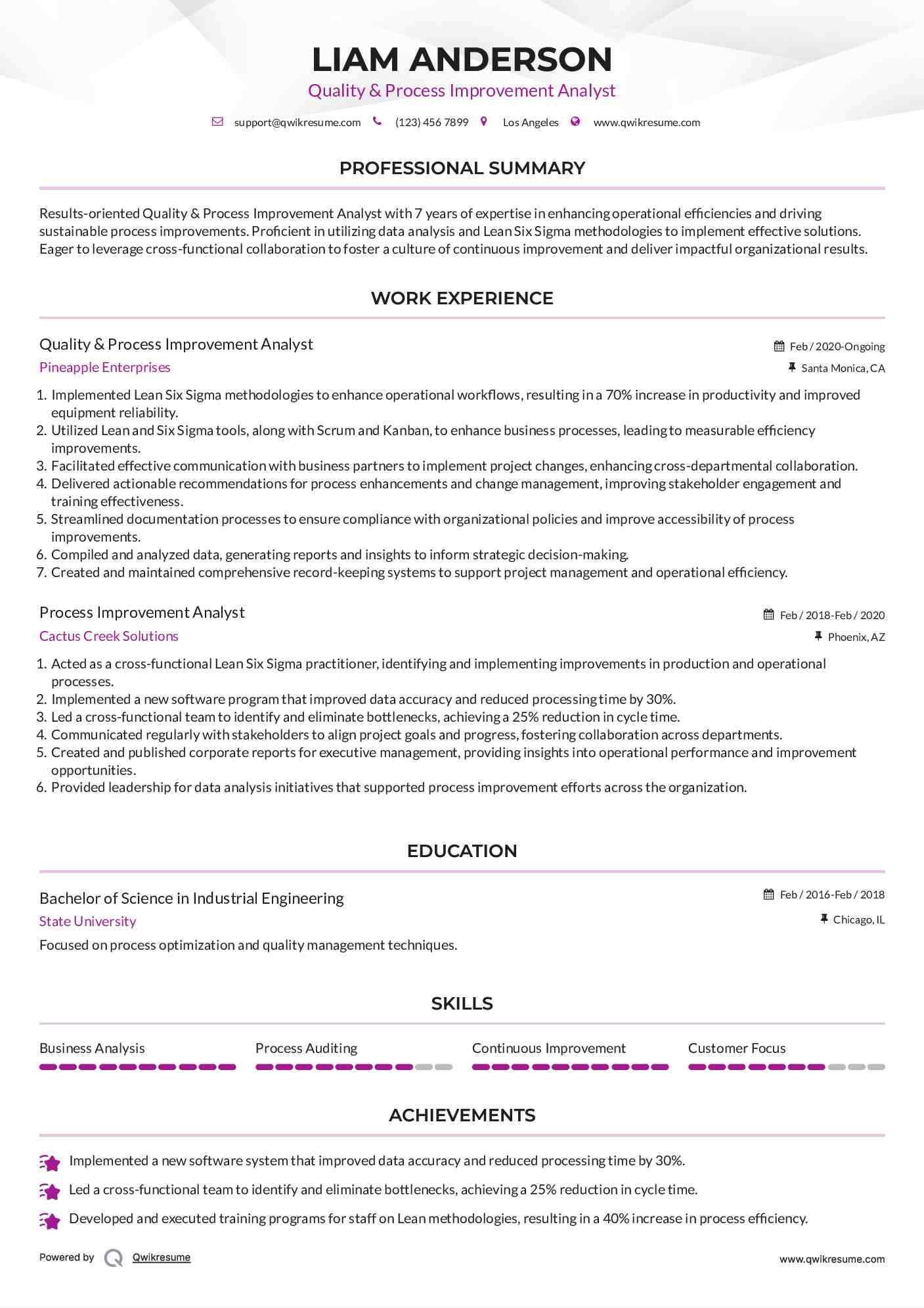 Quality & Process Improvement Analyst Resume Format