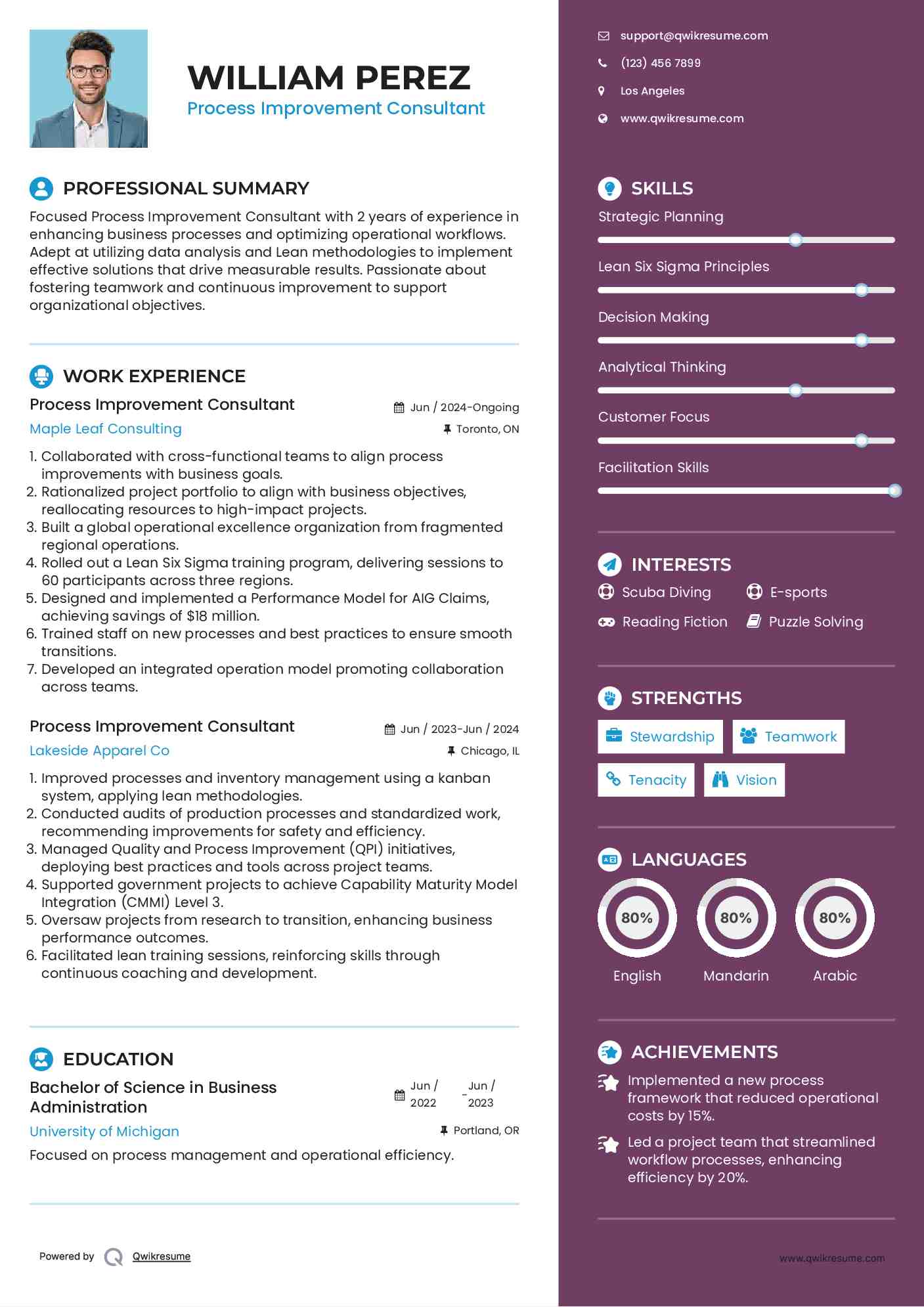 Process Improvement Consultant Resume Template