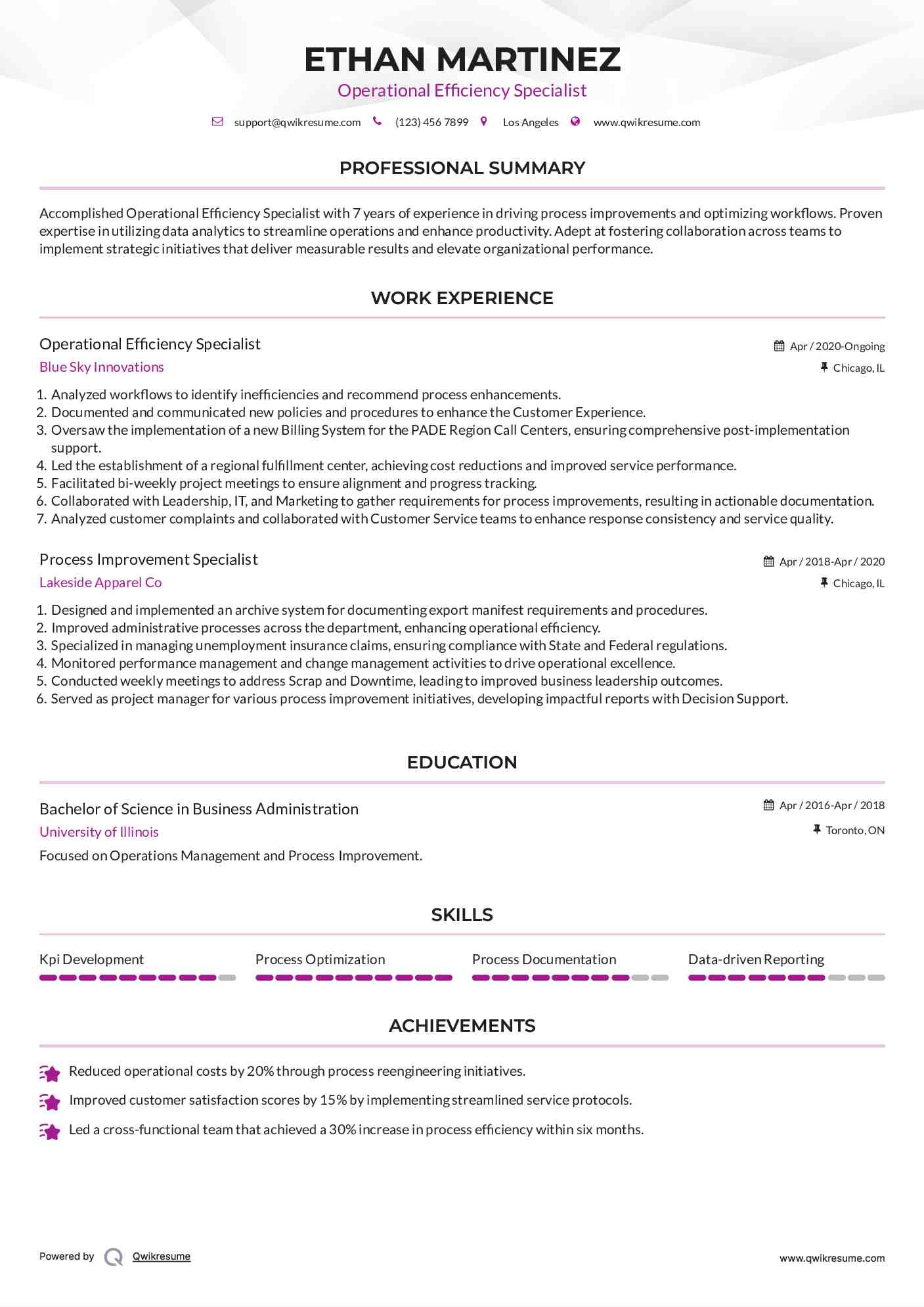 Operational Efficiency Specialist Resume Format