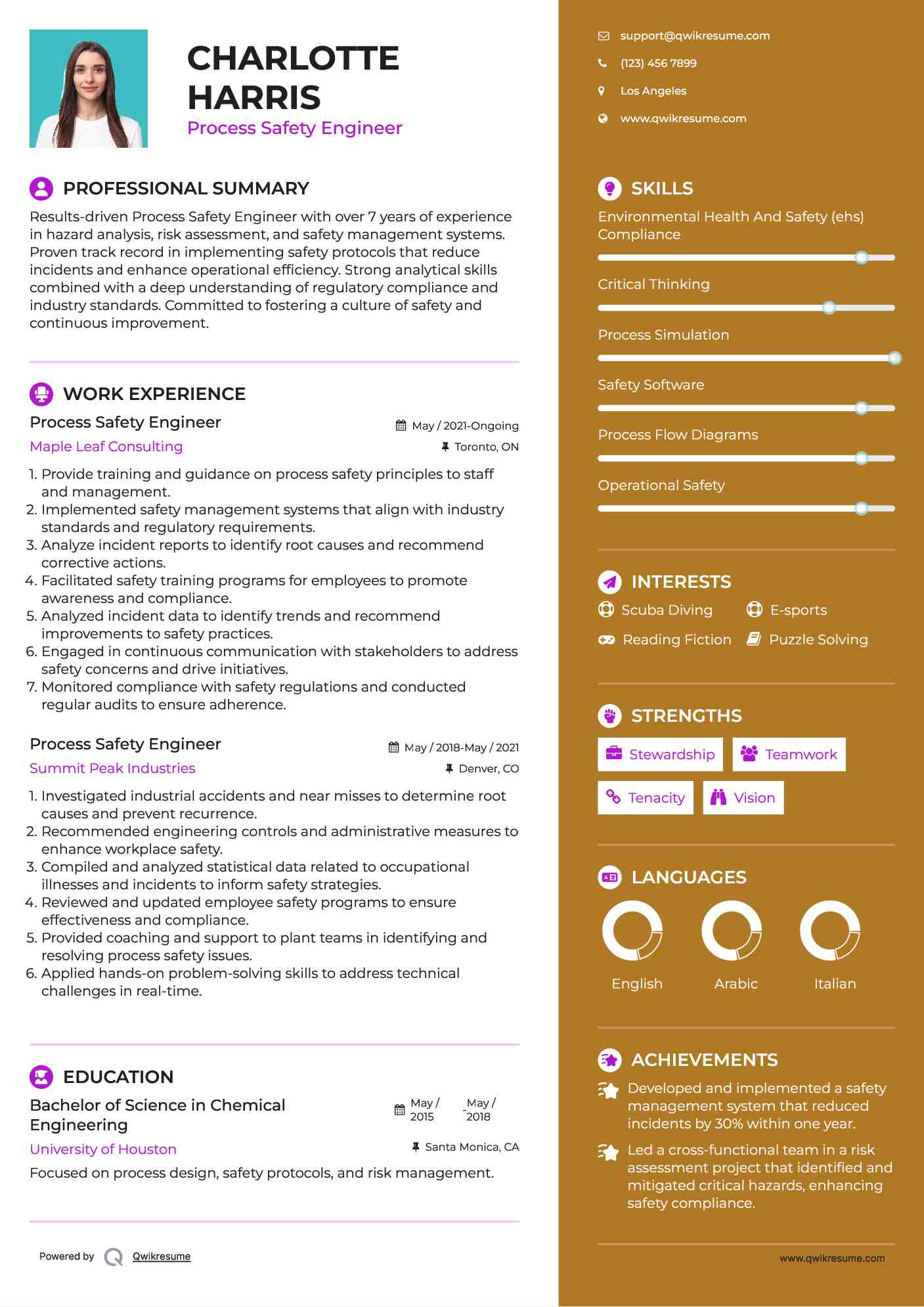 Process Safety Engineer Resume Sample