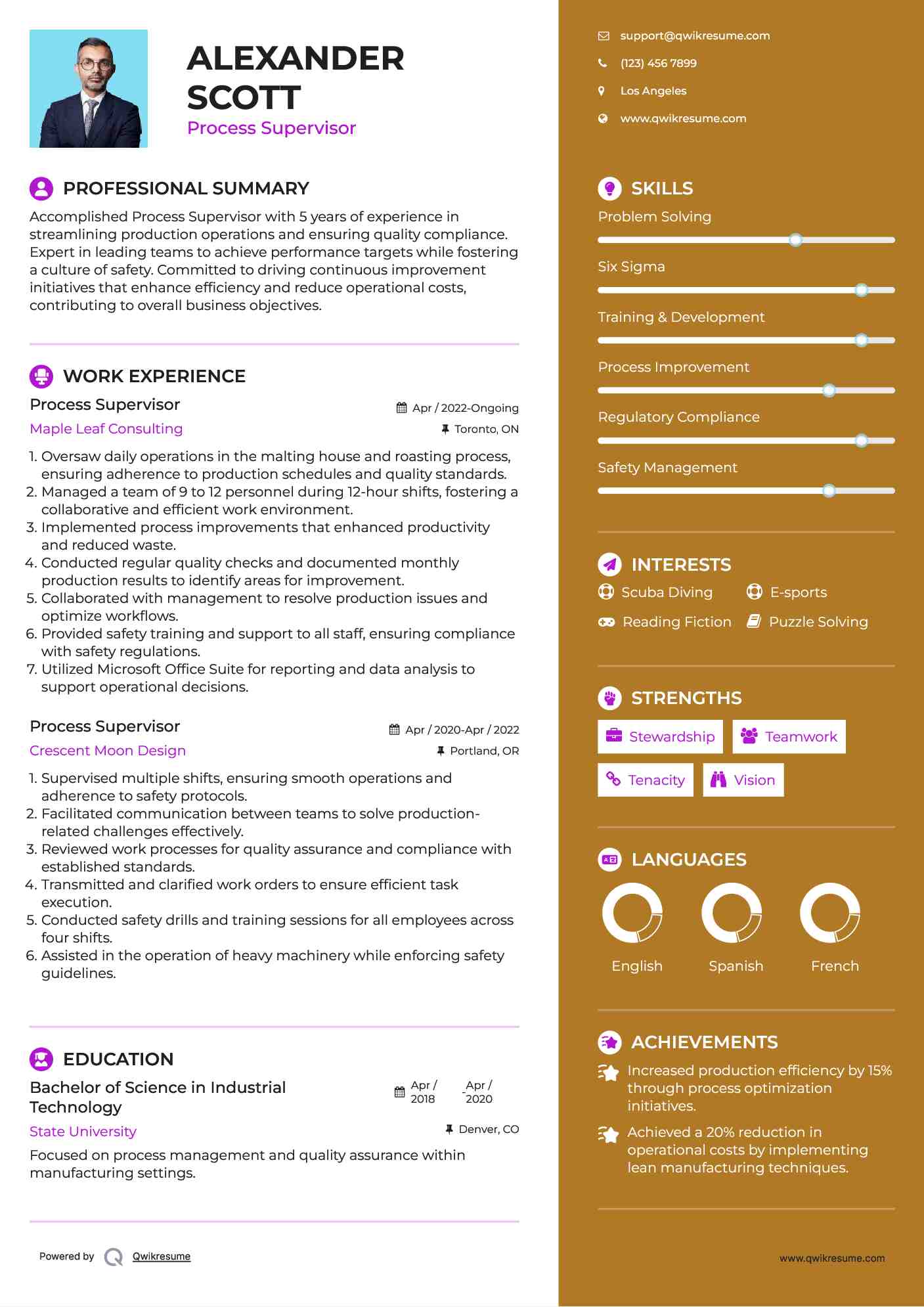 Process Supervisor Resume Sample