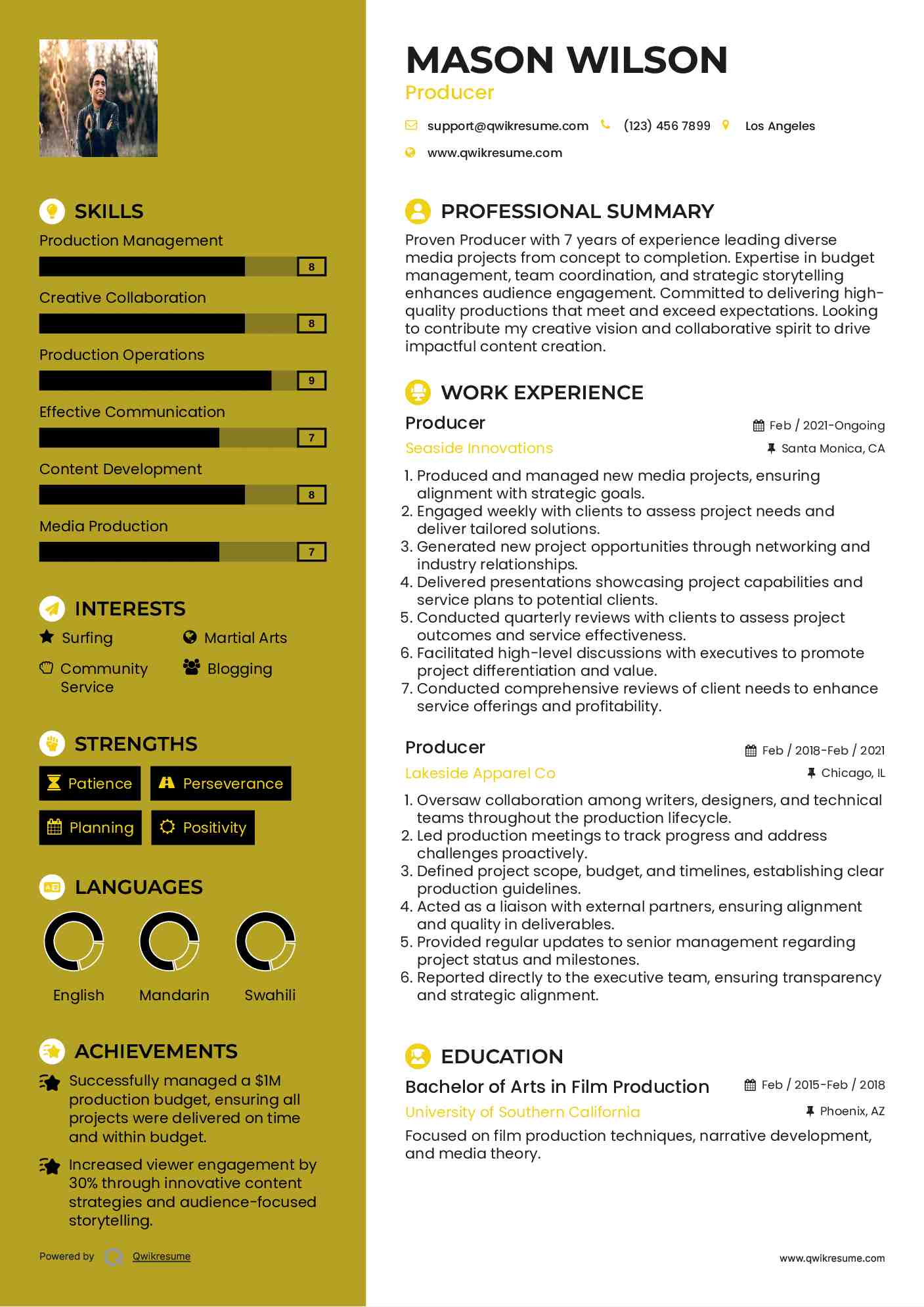 Producer Resume Model