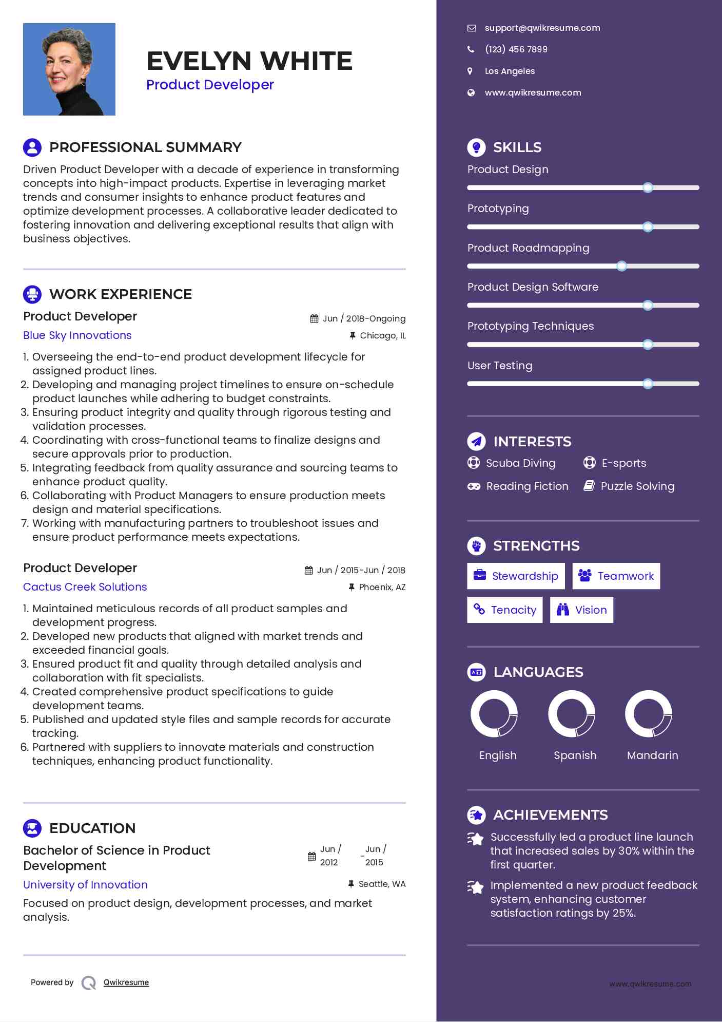 Product Developer Resume Model