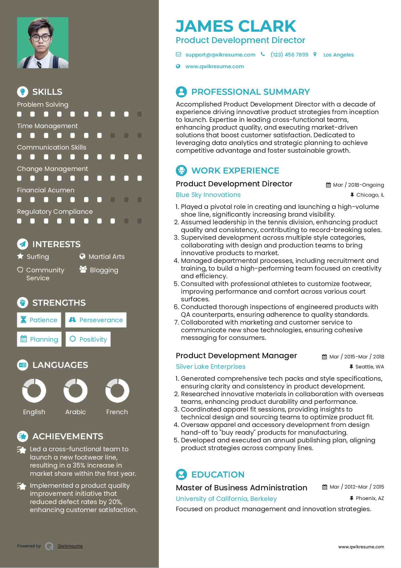 Product Development Director Resume Model