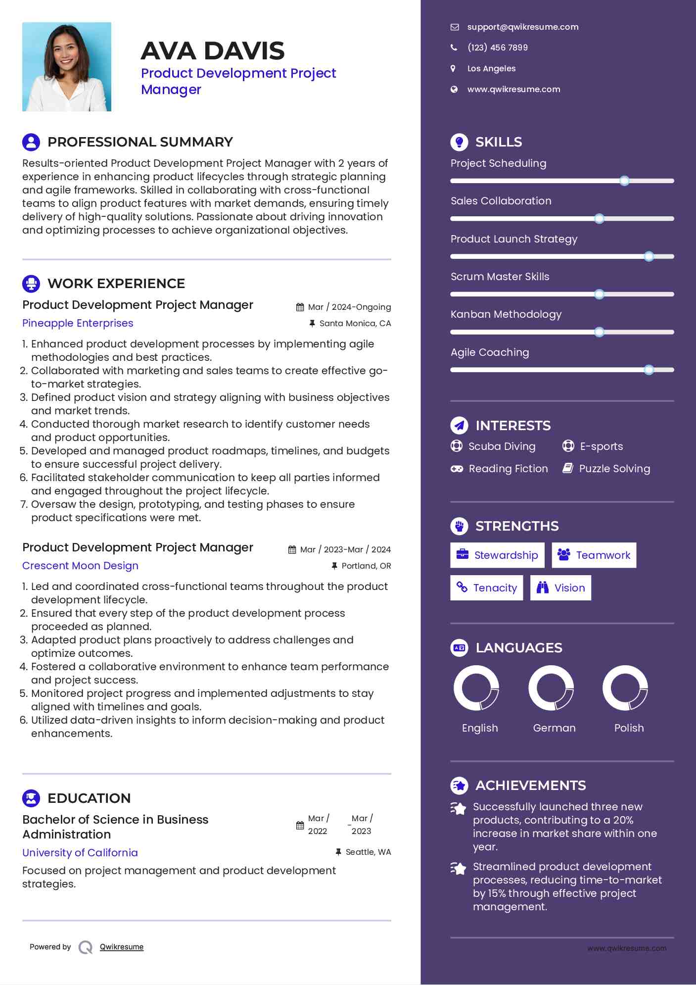 Product Development Project Manager Resume Example
