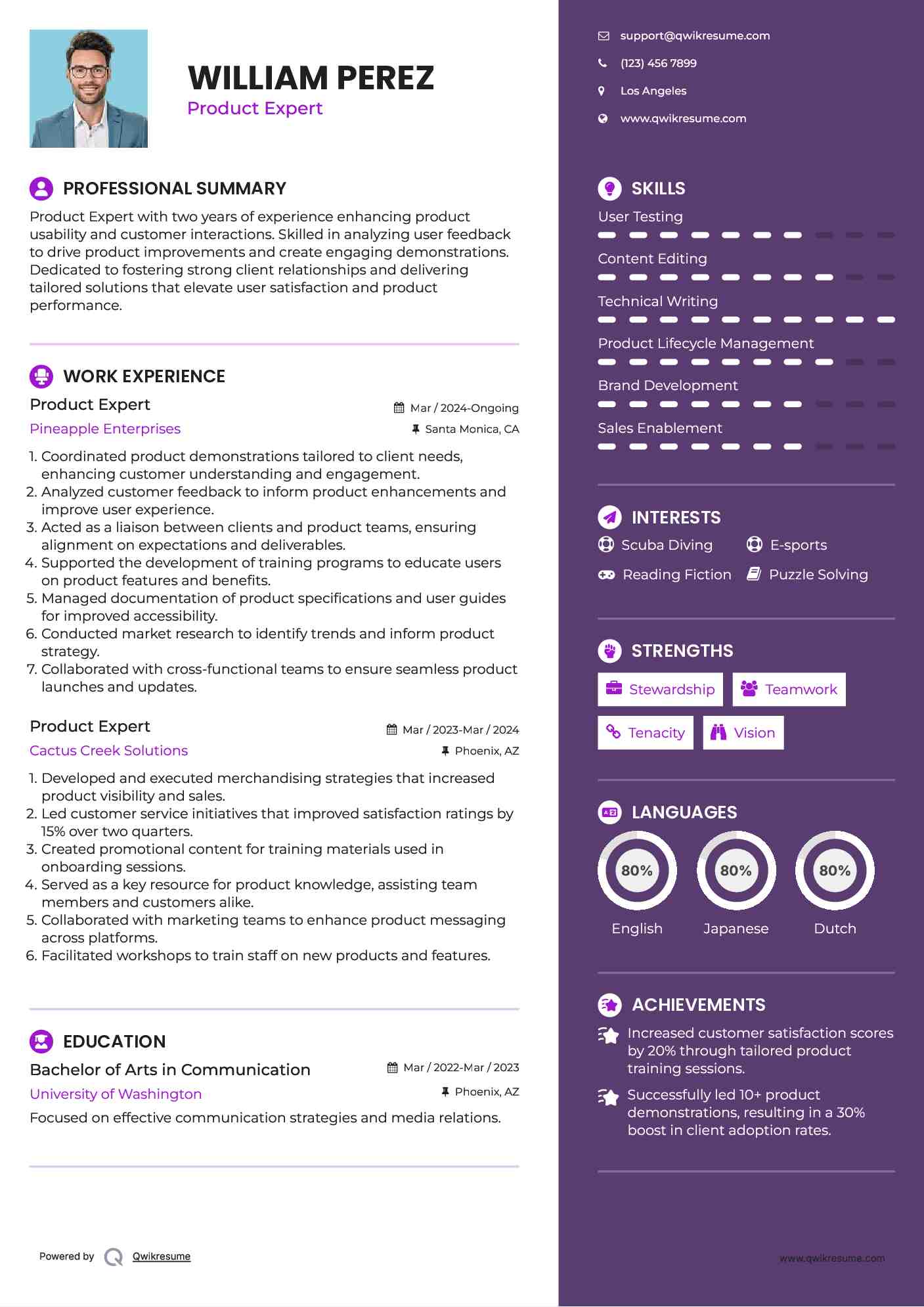 Product Expert Resume Model