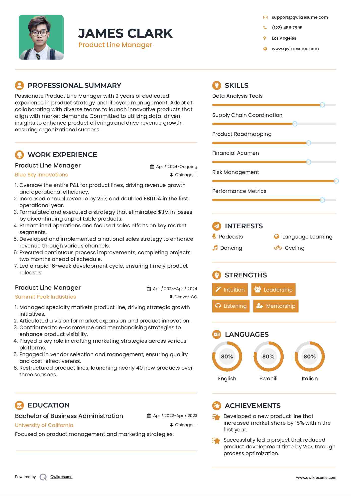 Product Line Manager Resume Model
