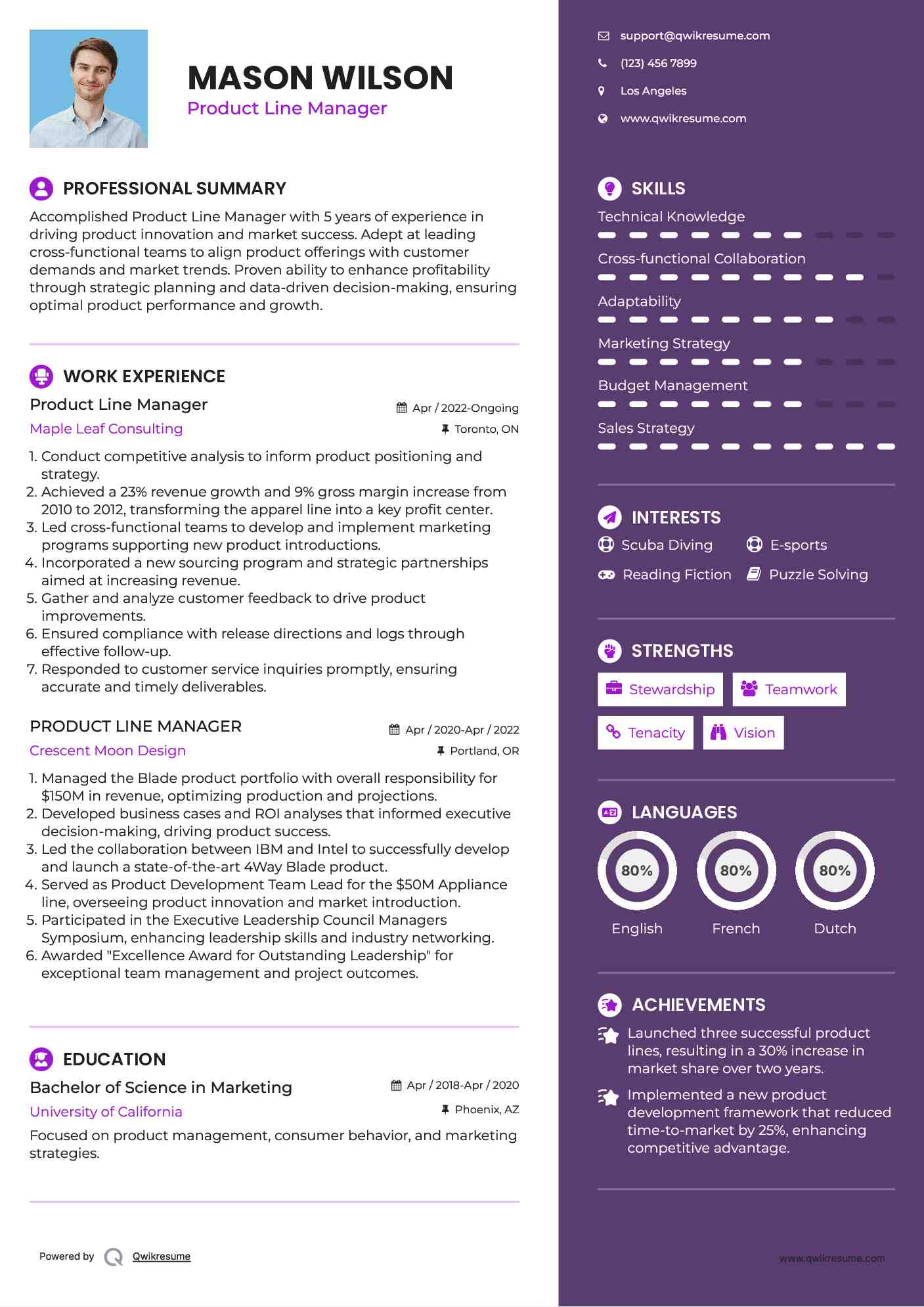 Product Line Manager Resume Model