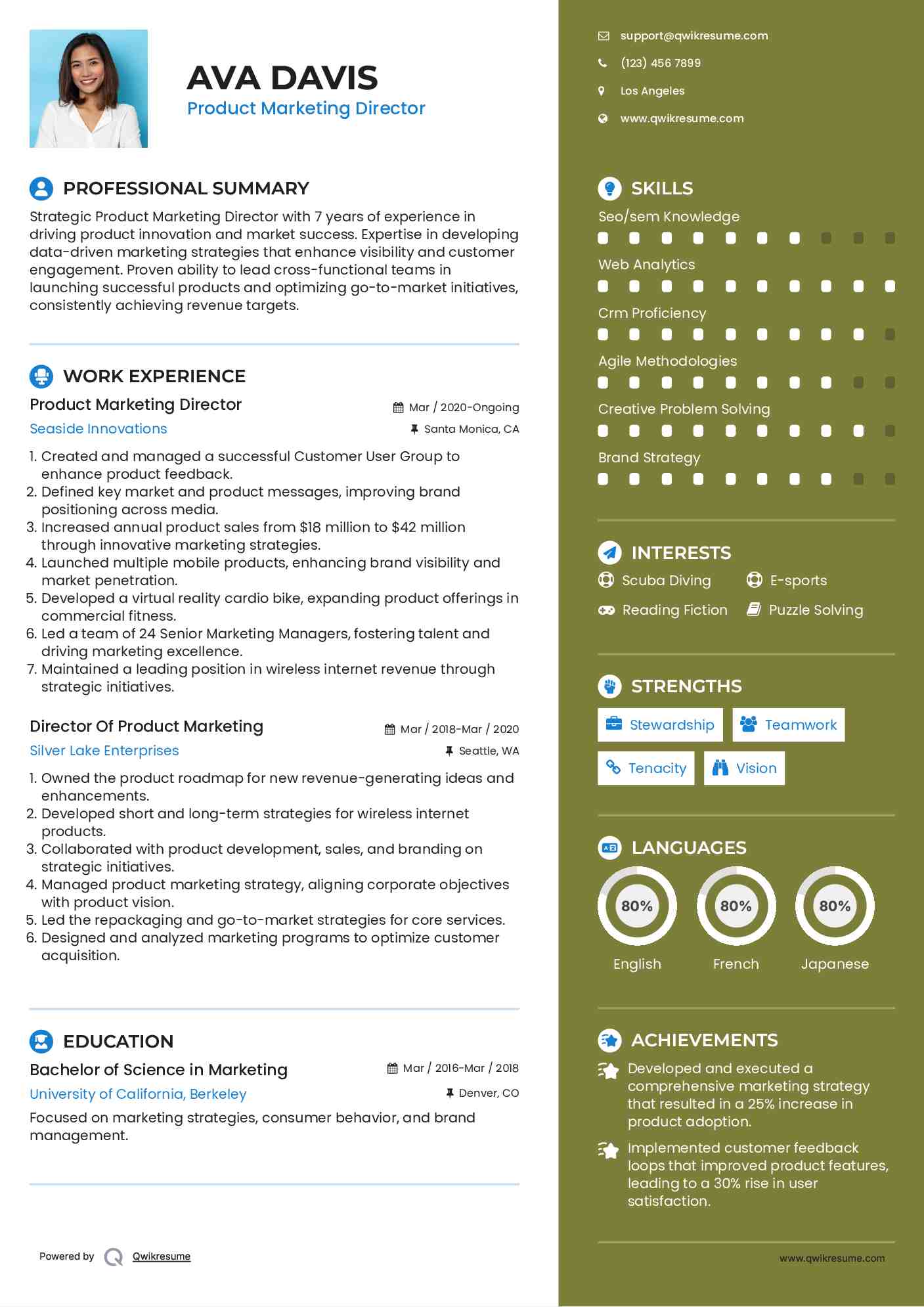 Product Marketing Director Resume Example