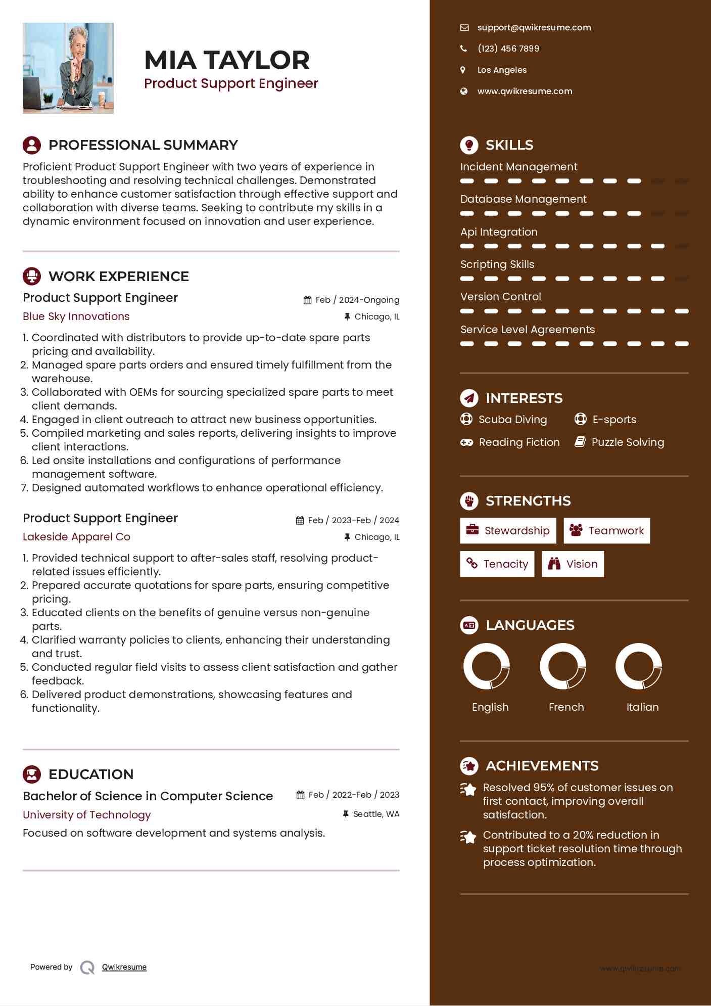 Product Support Engineer Resume Model