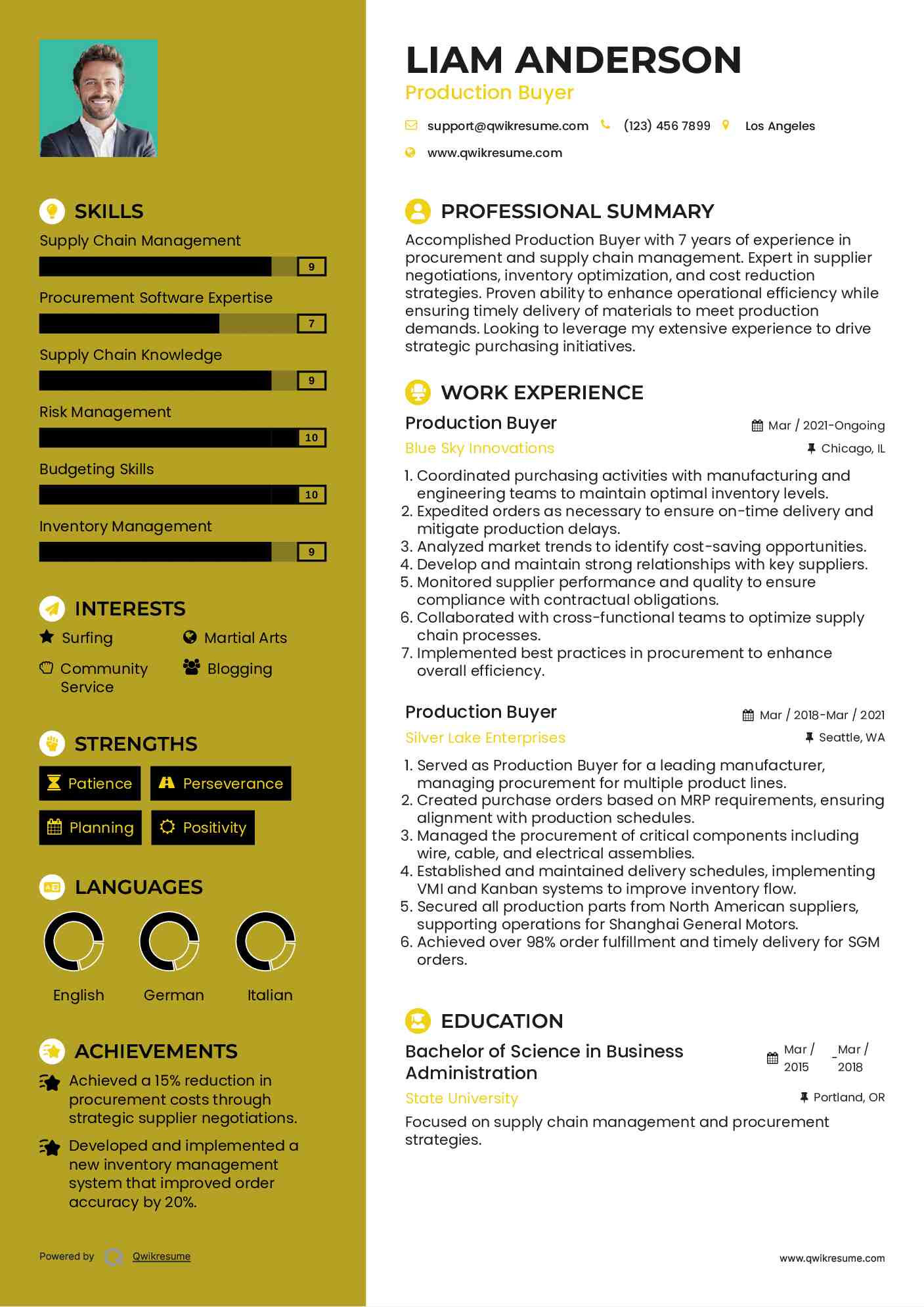 Production Buyer Resume Example