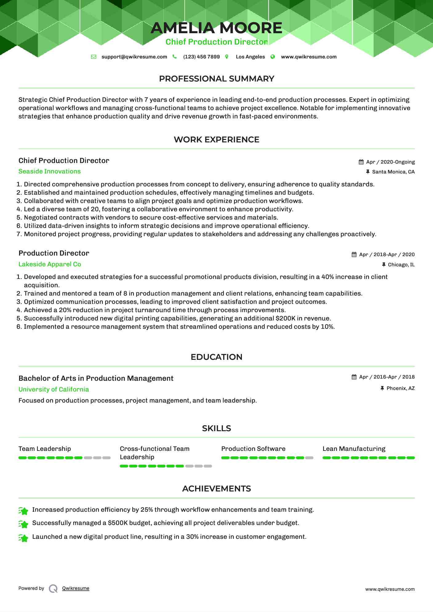 Chief Production Director Resume Sample