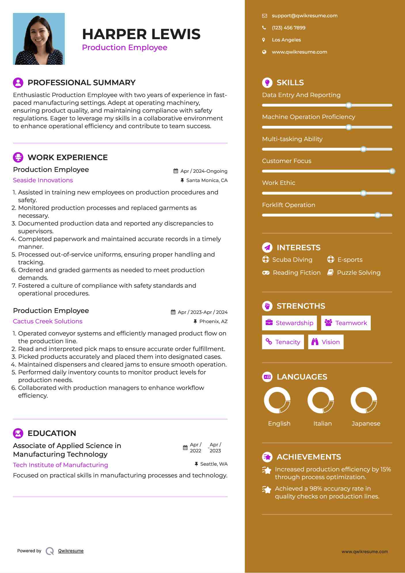 Production Employee Resume Template