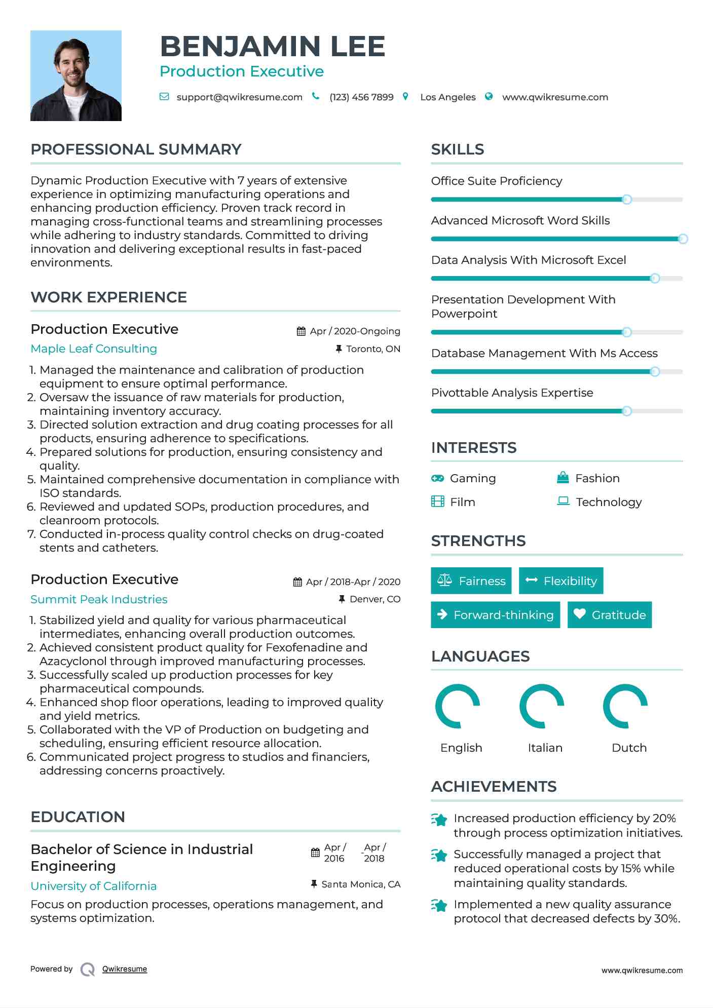 Production Executive Resume Sample