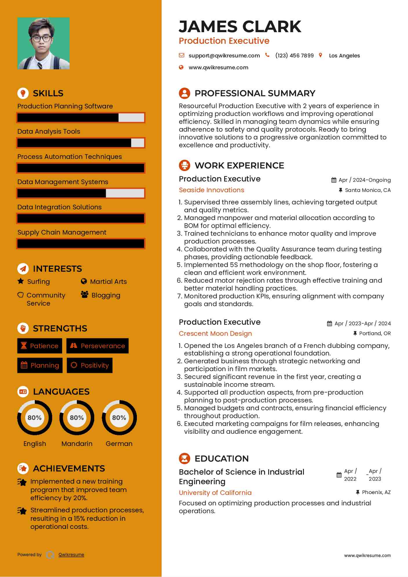 Production Executive Resume Template