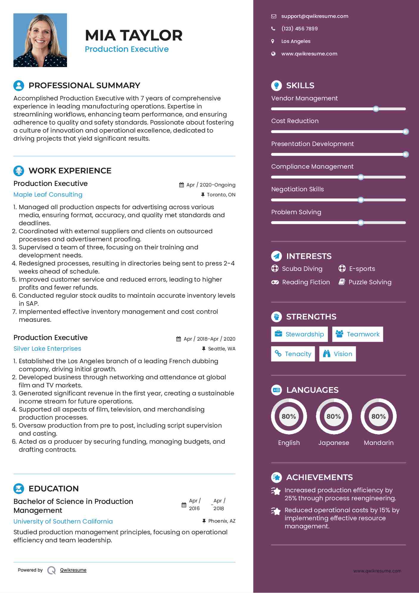 Production Executive Resume Format