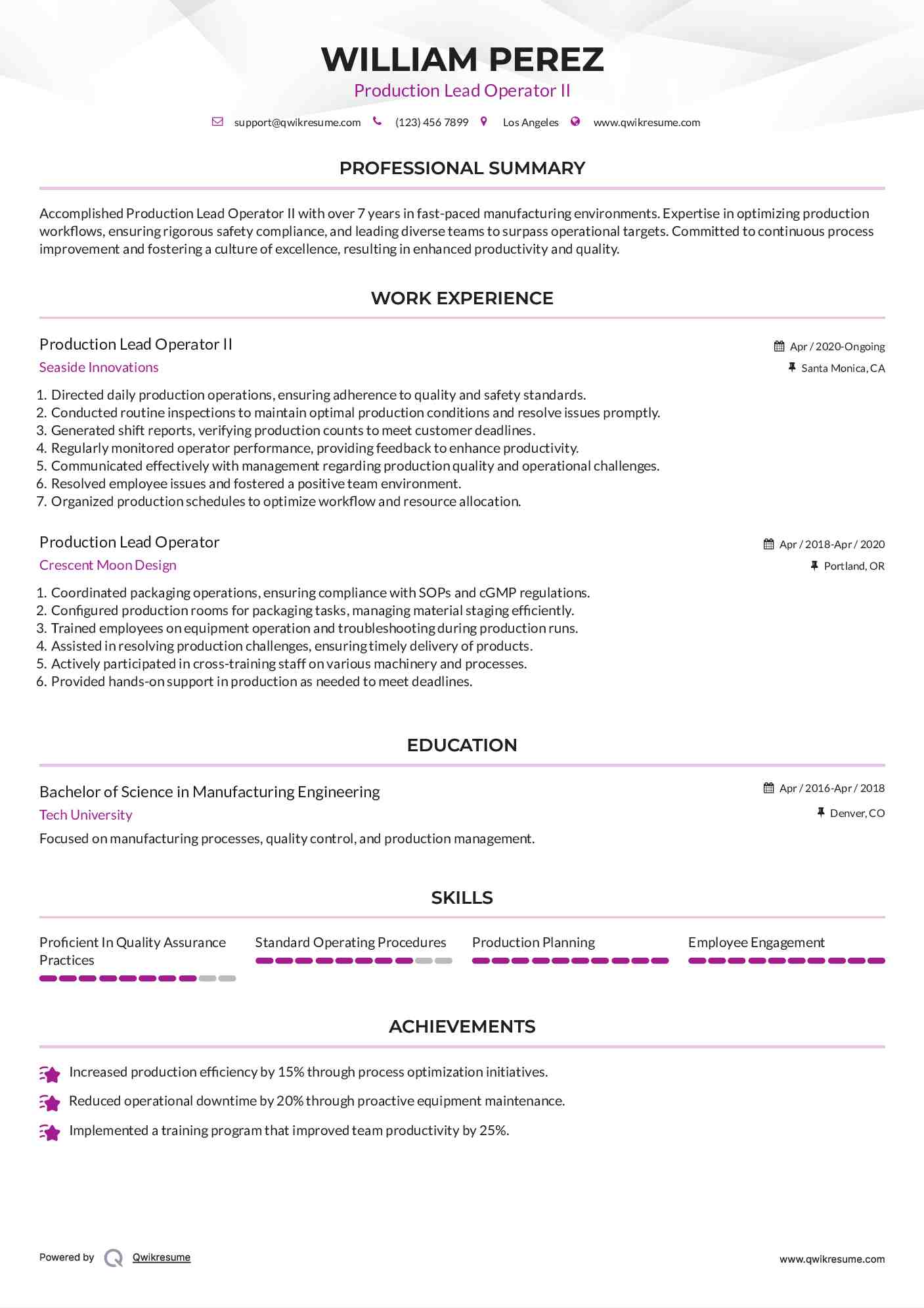 Production Lead Operator II Resume Template