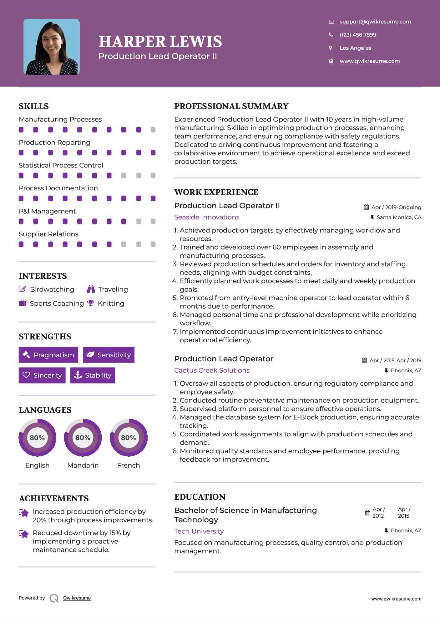 Production Lead Operator II Resume Template