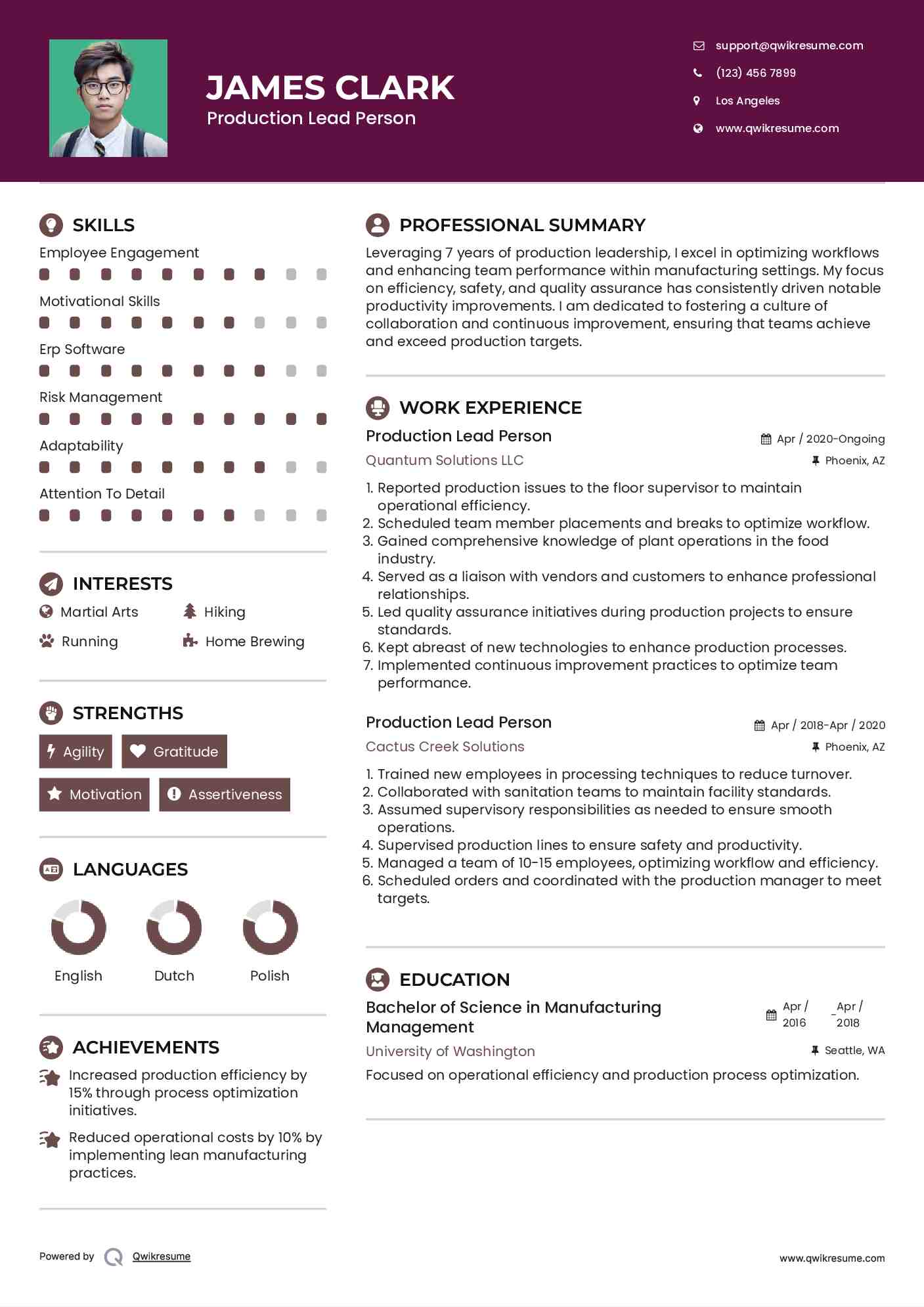 Production Lead Person Resume Template