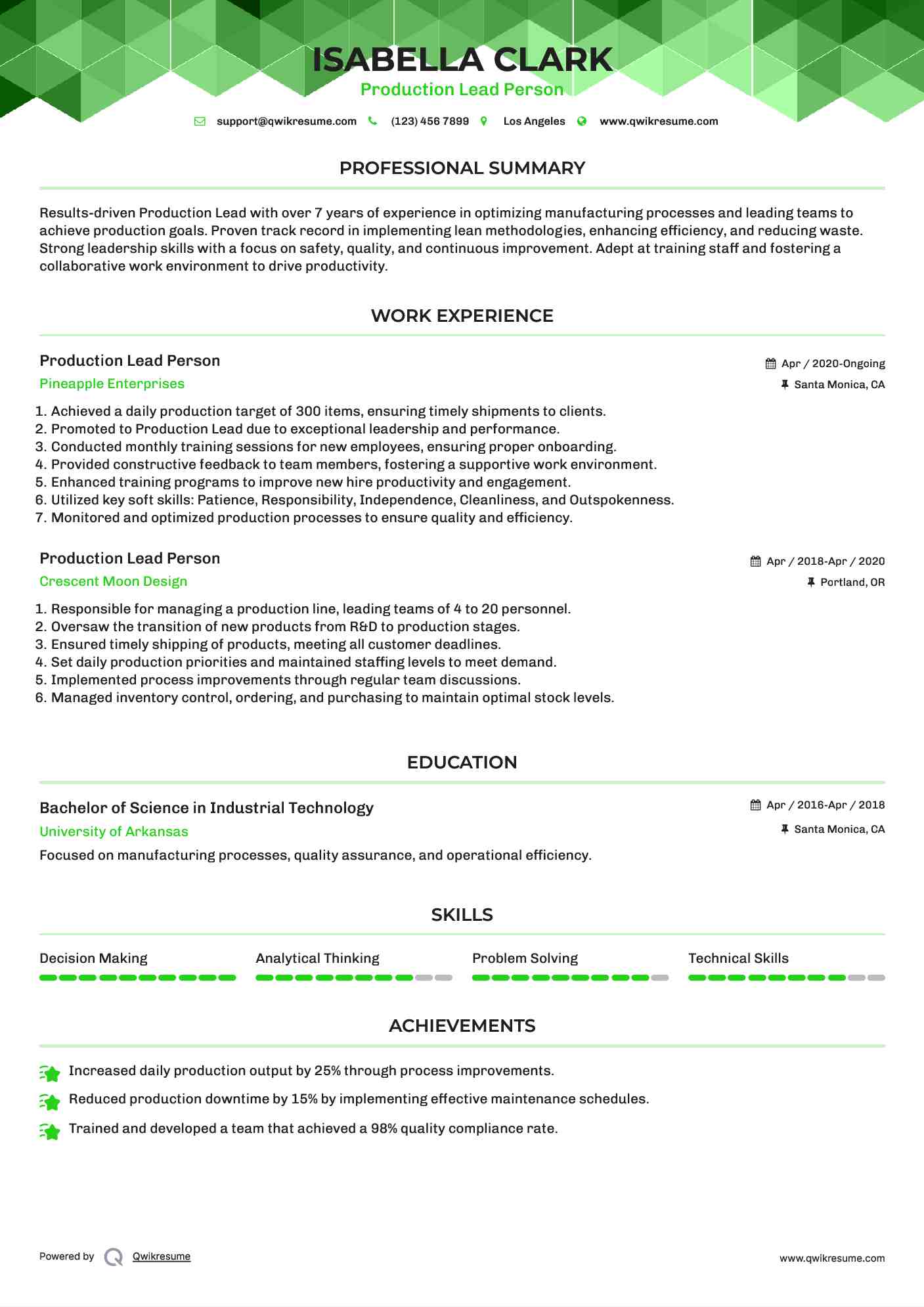Production Lead Person Resume Model
