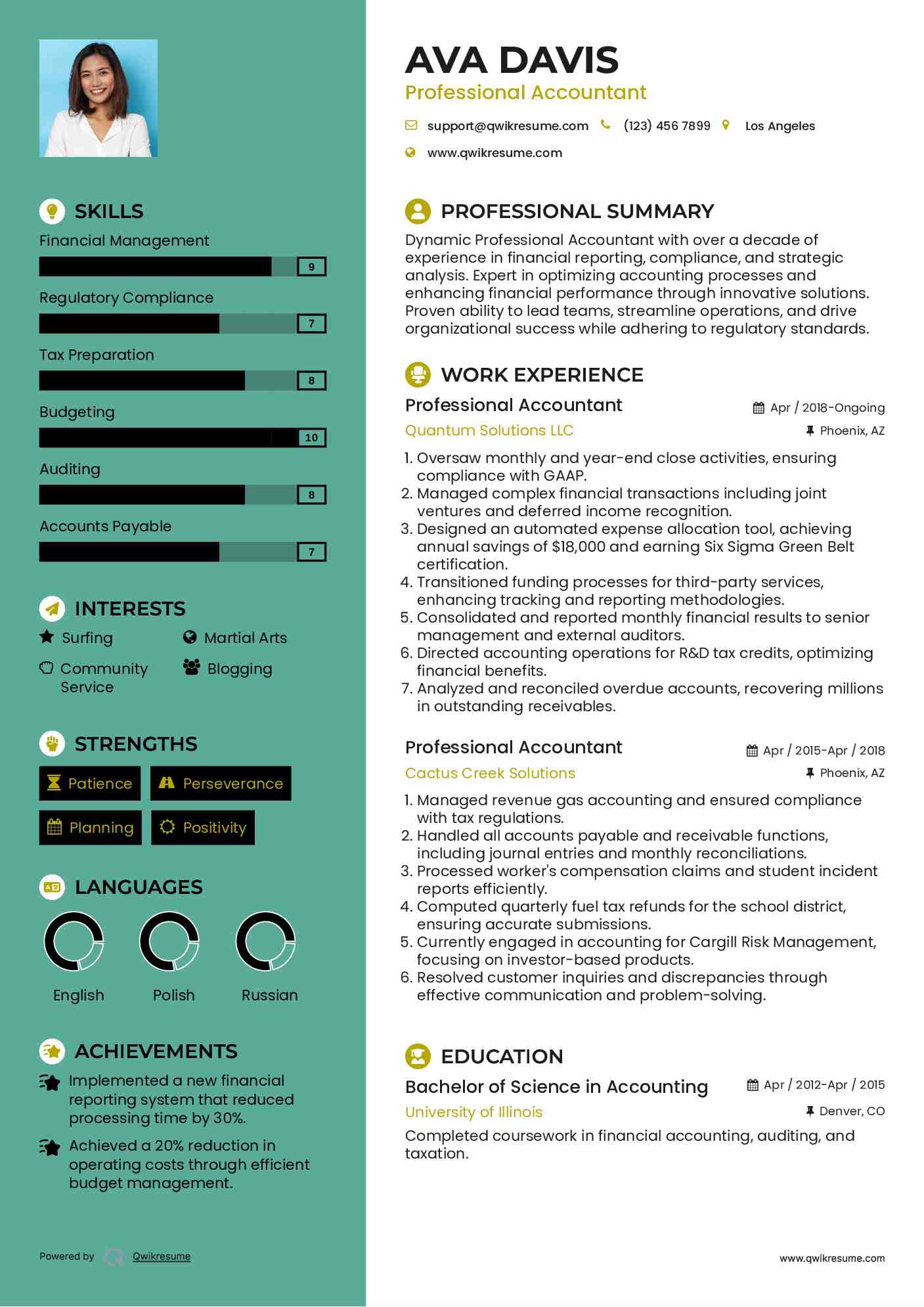 Professional Accountant Resume Sample