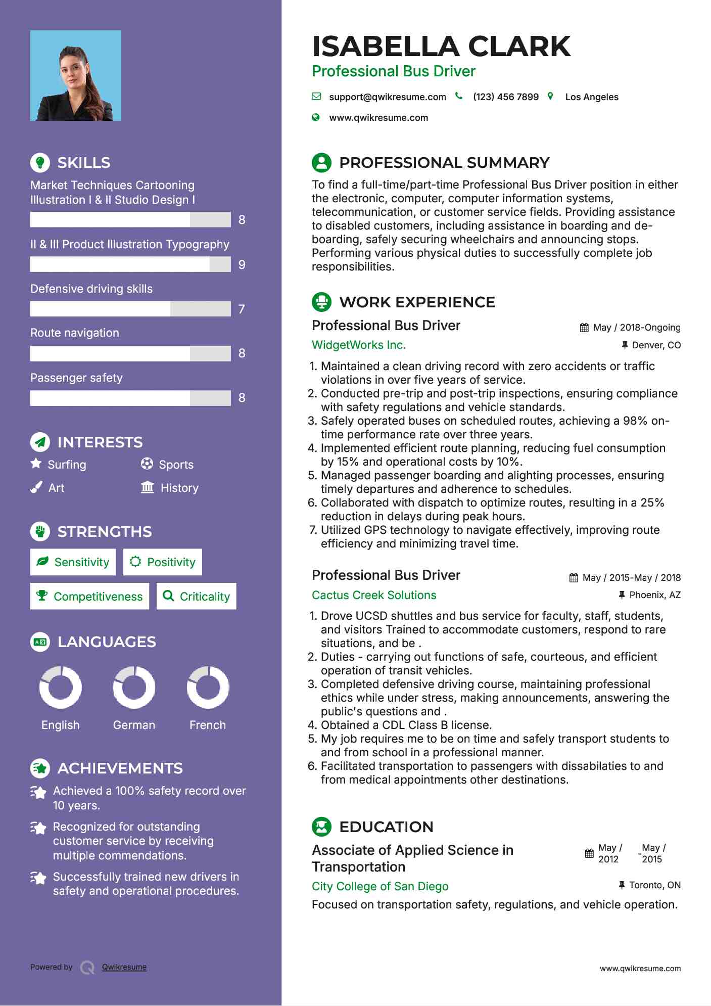 Professional Bus Driver Resume Model