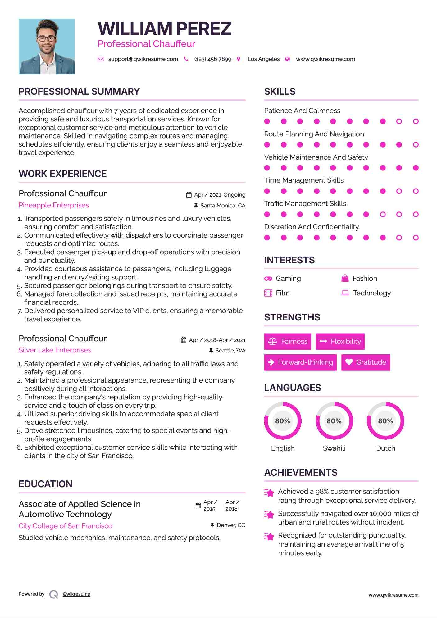 Professional Chauffeur Resume Format
