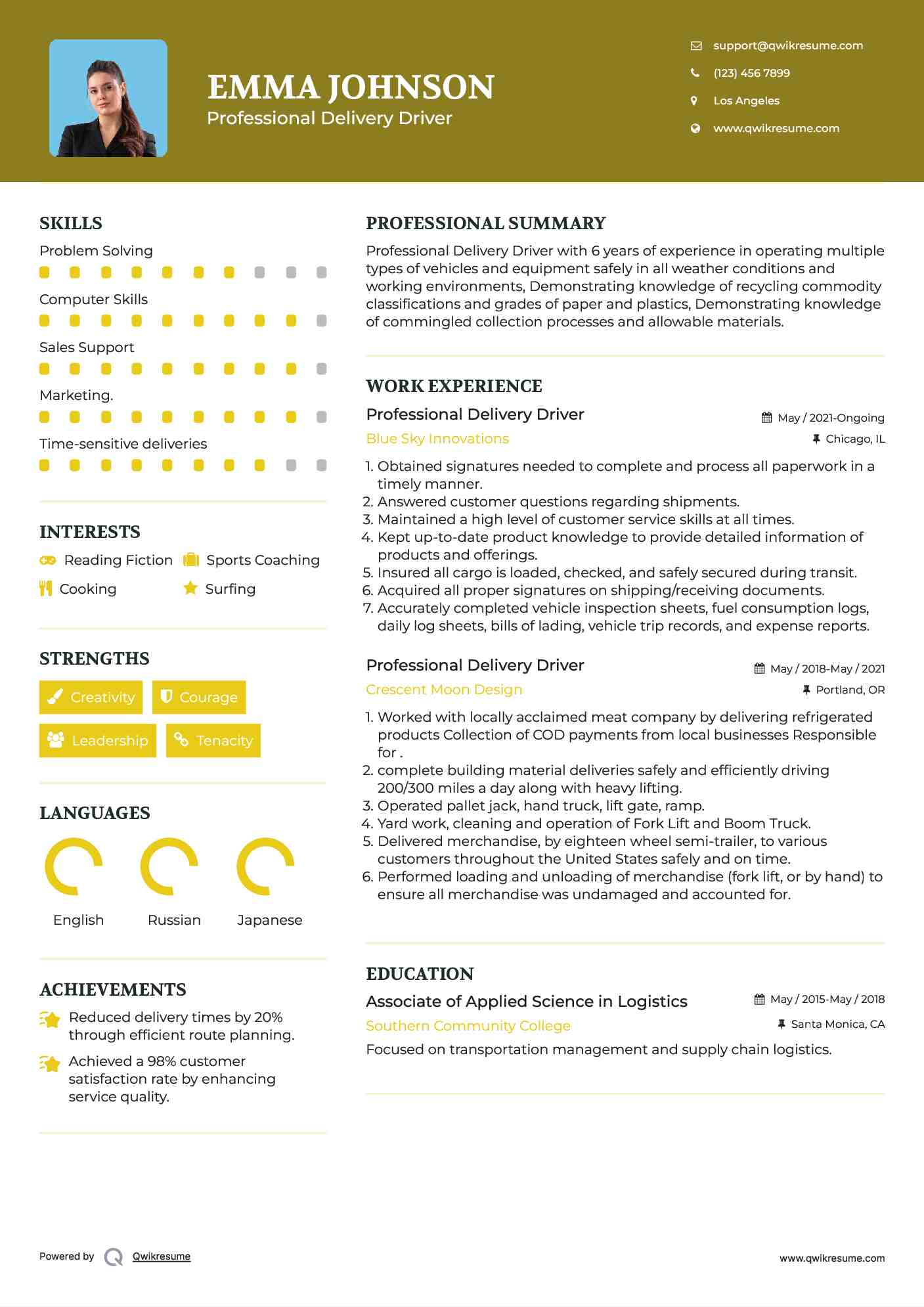 Professional Delivery Driver Resume Format