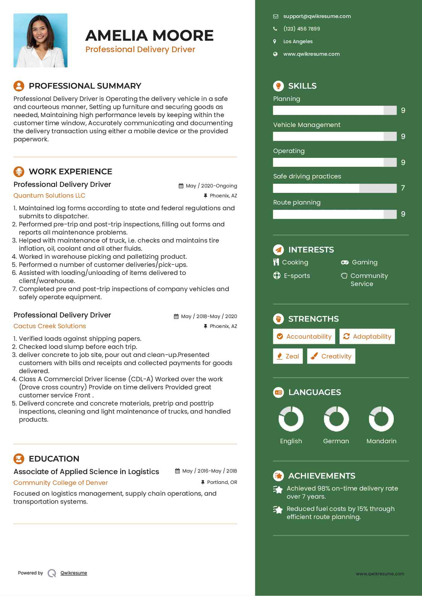 Professional Delivery Driver Resume Sample