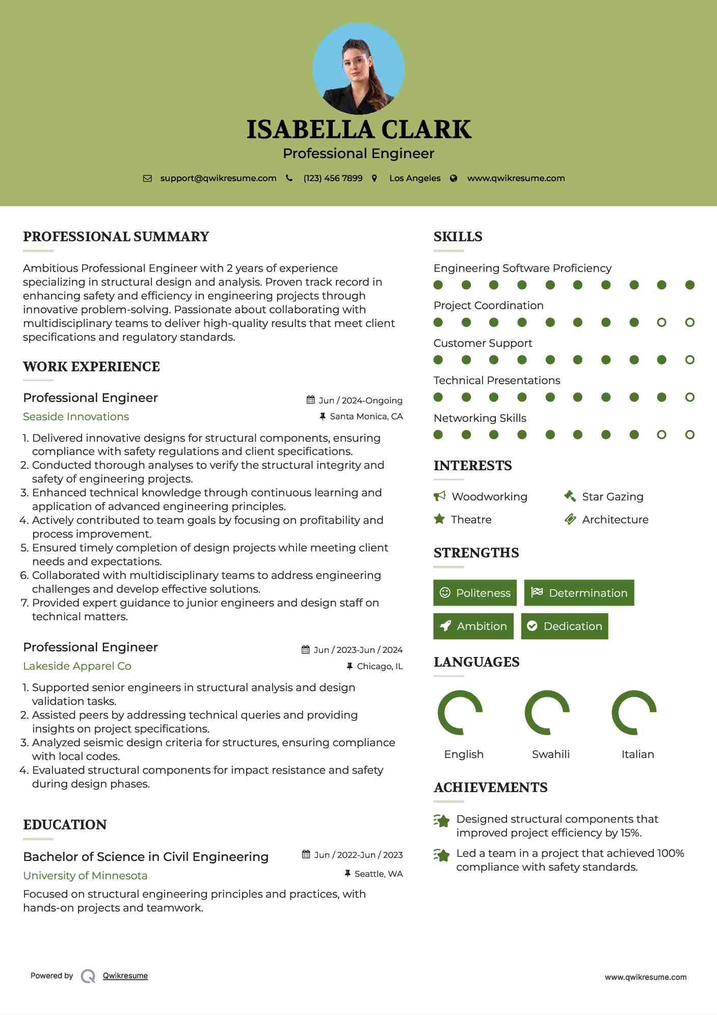 Professional Engineer Resume Model