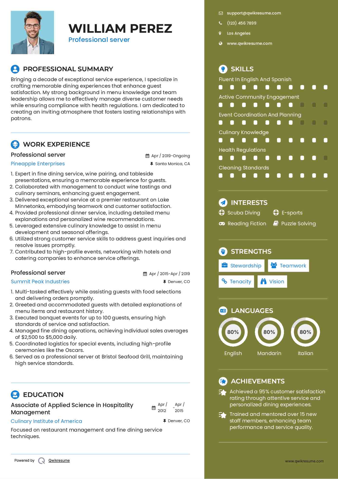Professional server Resume Example