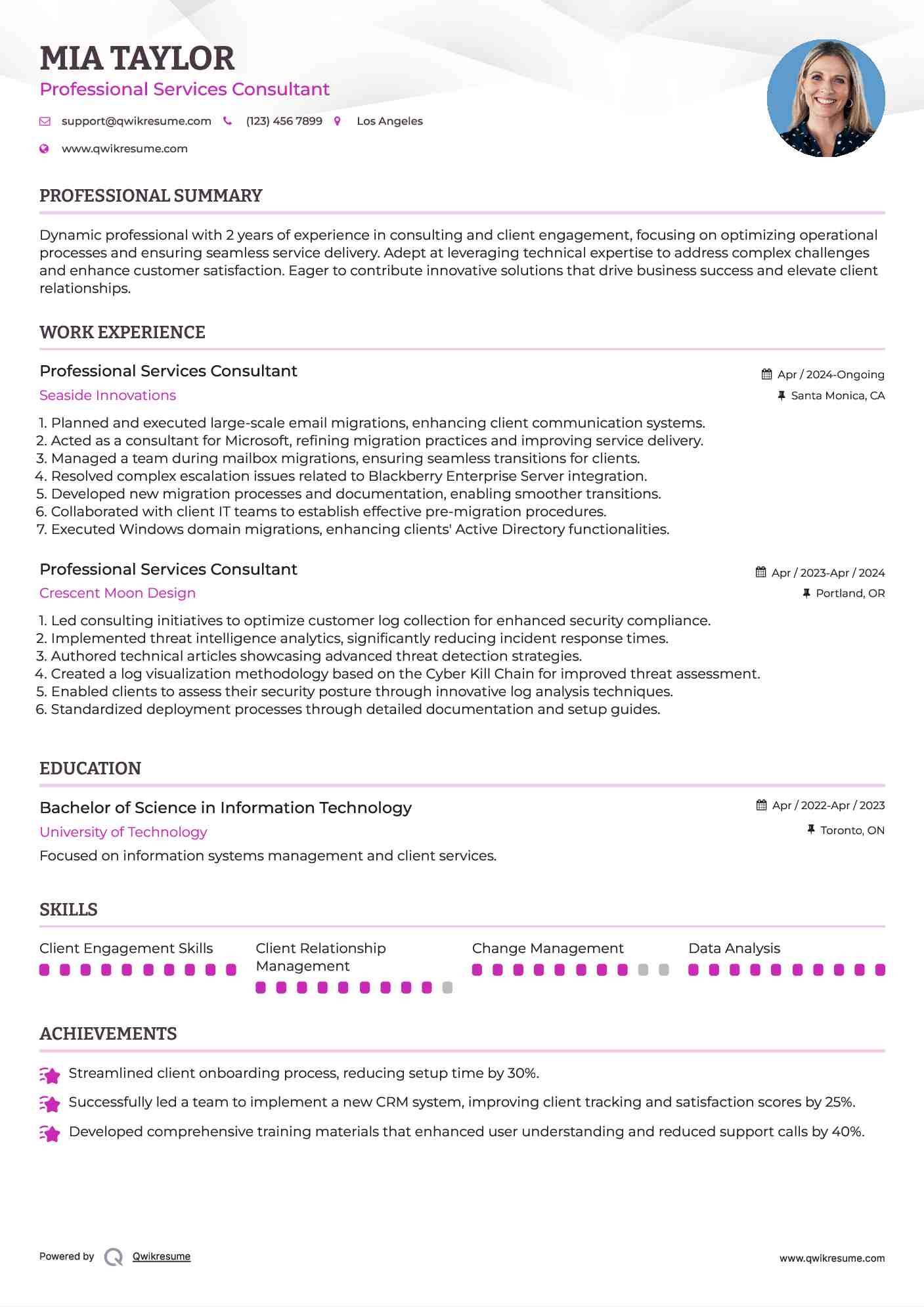 Professional Services Consultant Resume Template