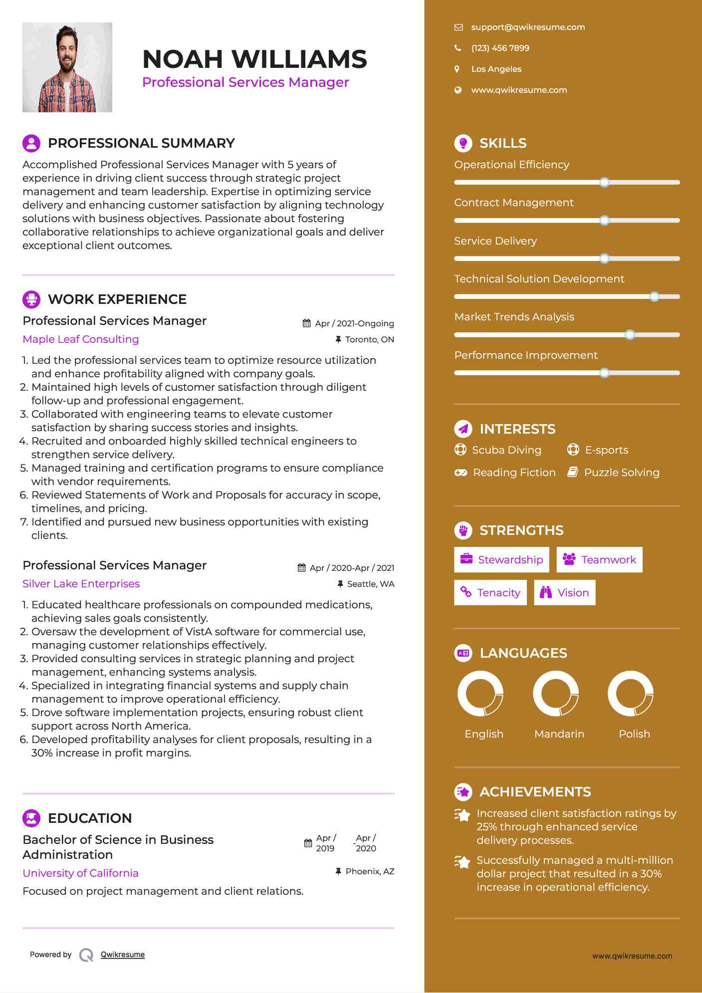 Professional Services Manager Resume Template
