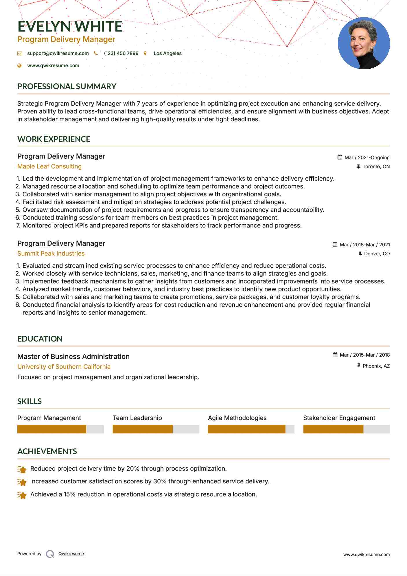 Program Delivery Manager Resume Model