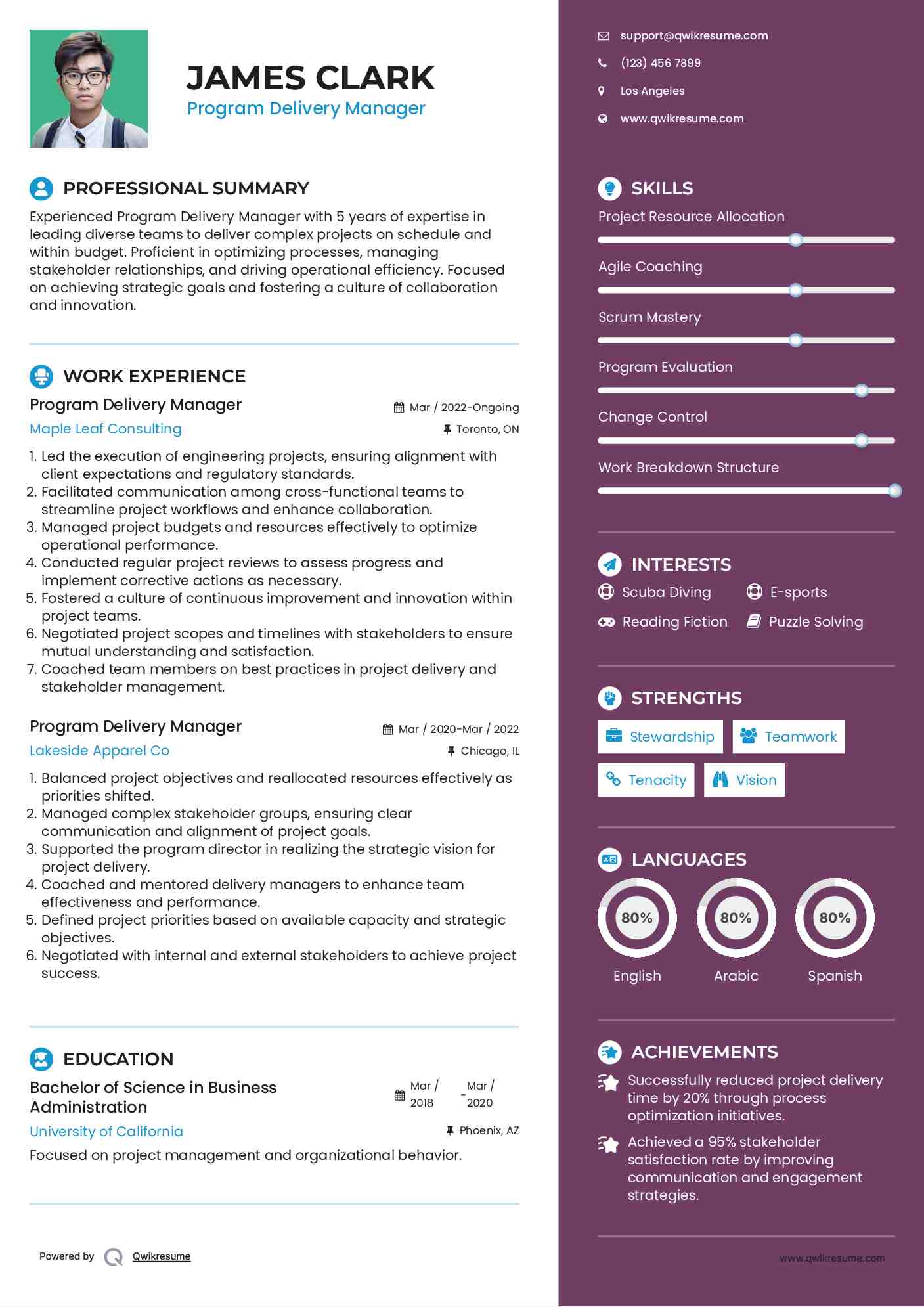 Program Delivery Manager Resume Example