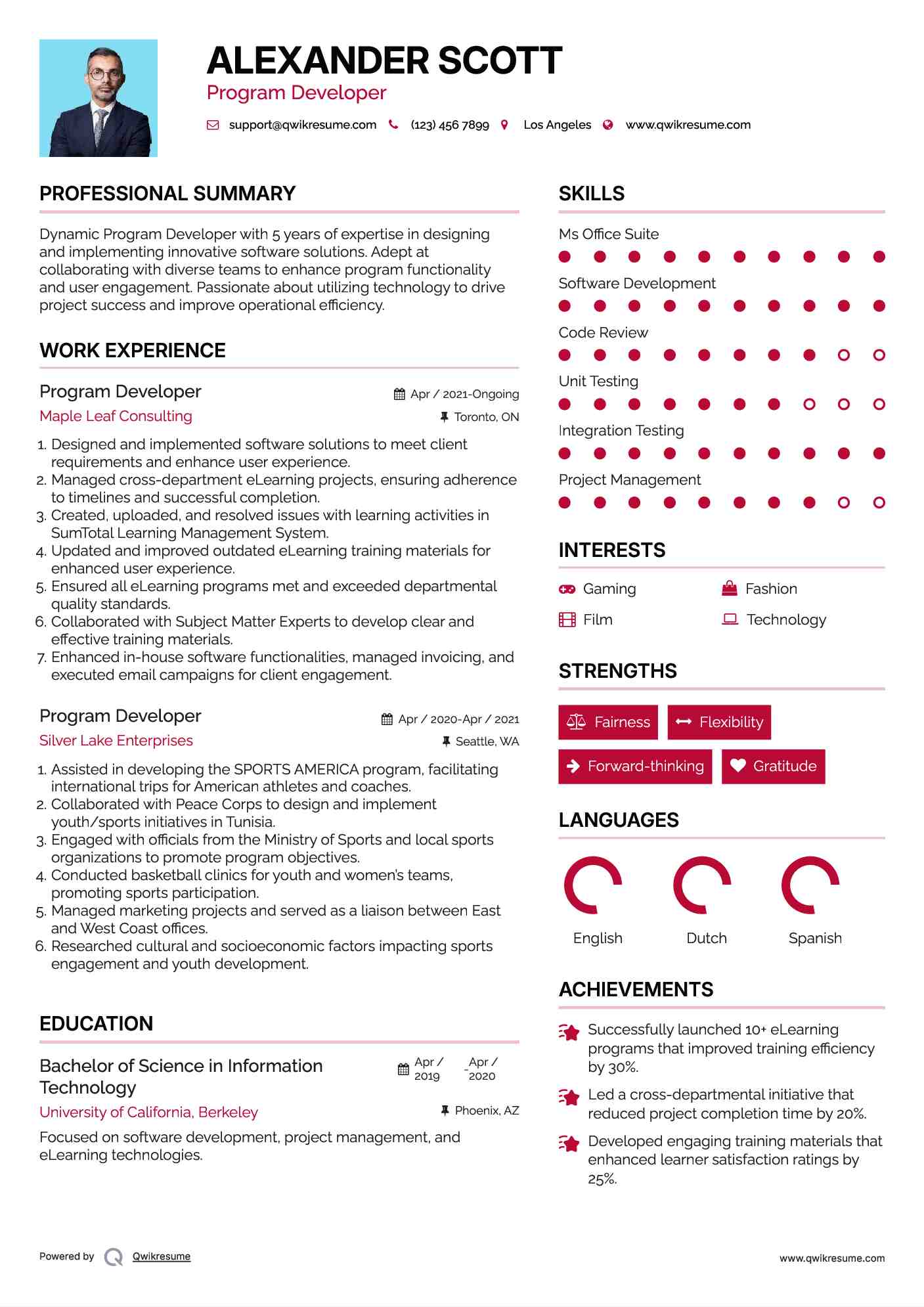 Program Developer Resume Example