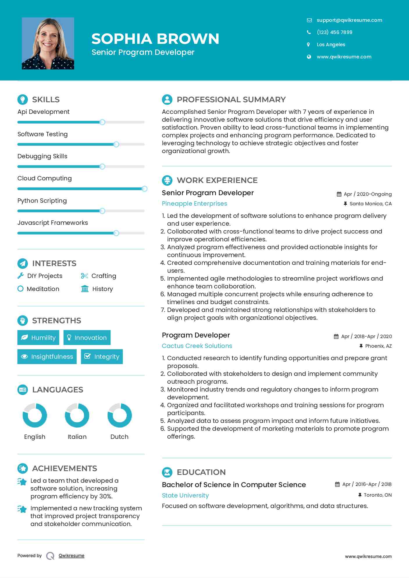 Senior Program Developer Resume Sample