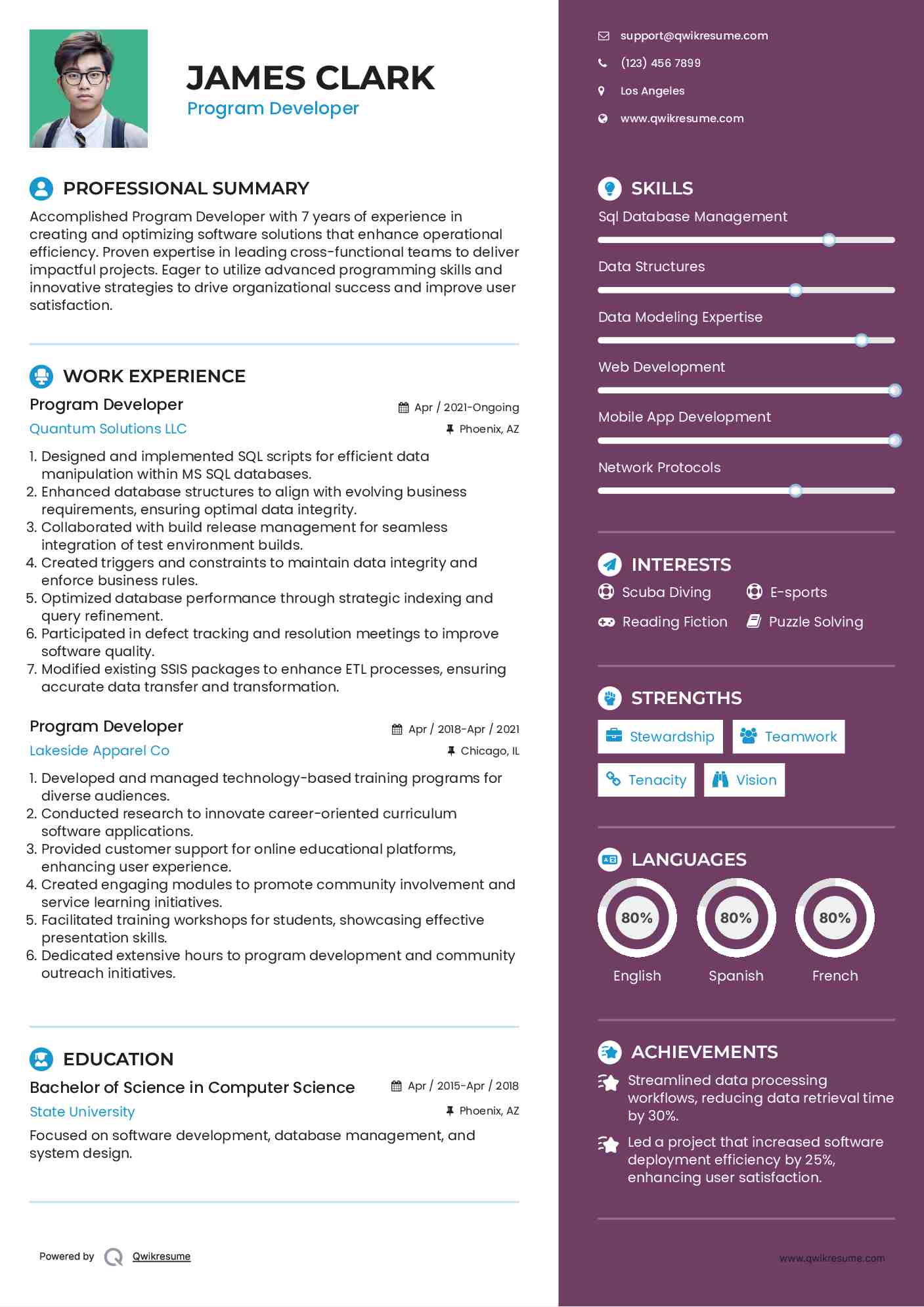 Program Developer Resume Template