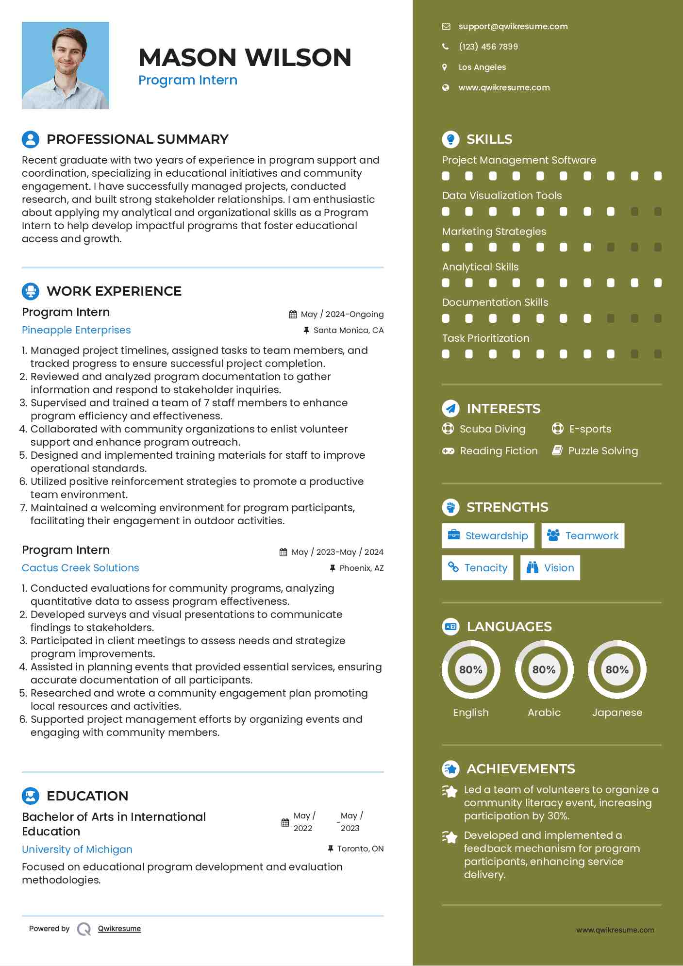 Program Intern Resume Format