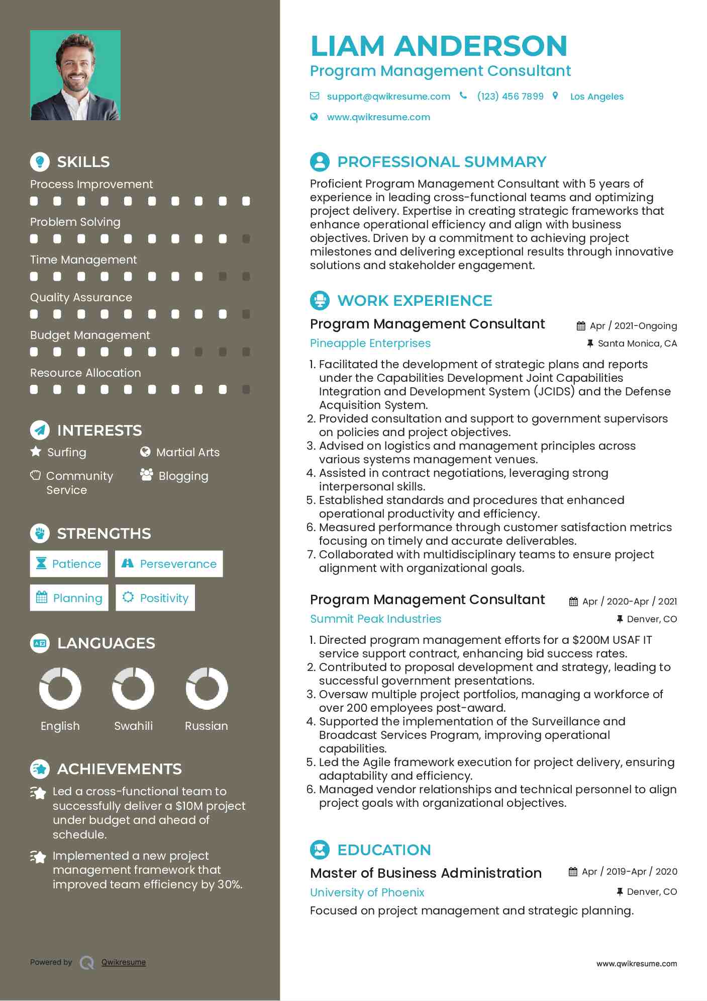 Program Management Consultant Resume Format