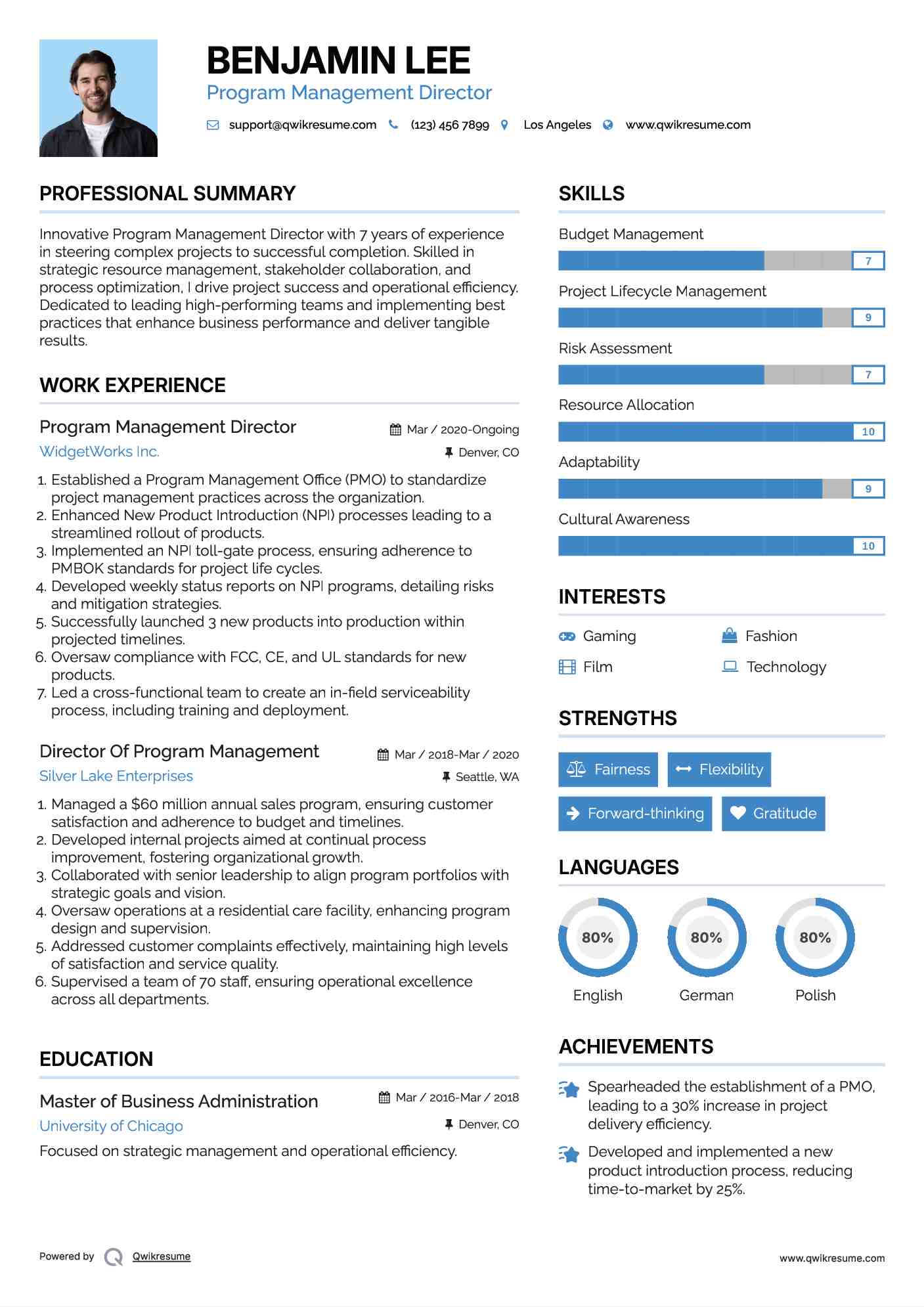 Program Management Director Resume Template