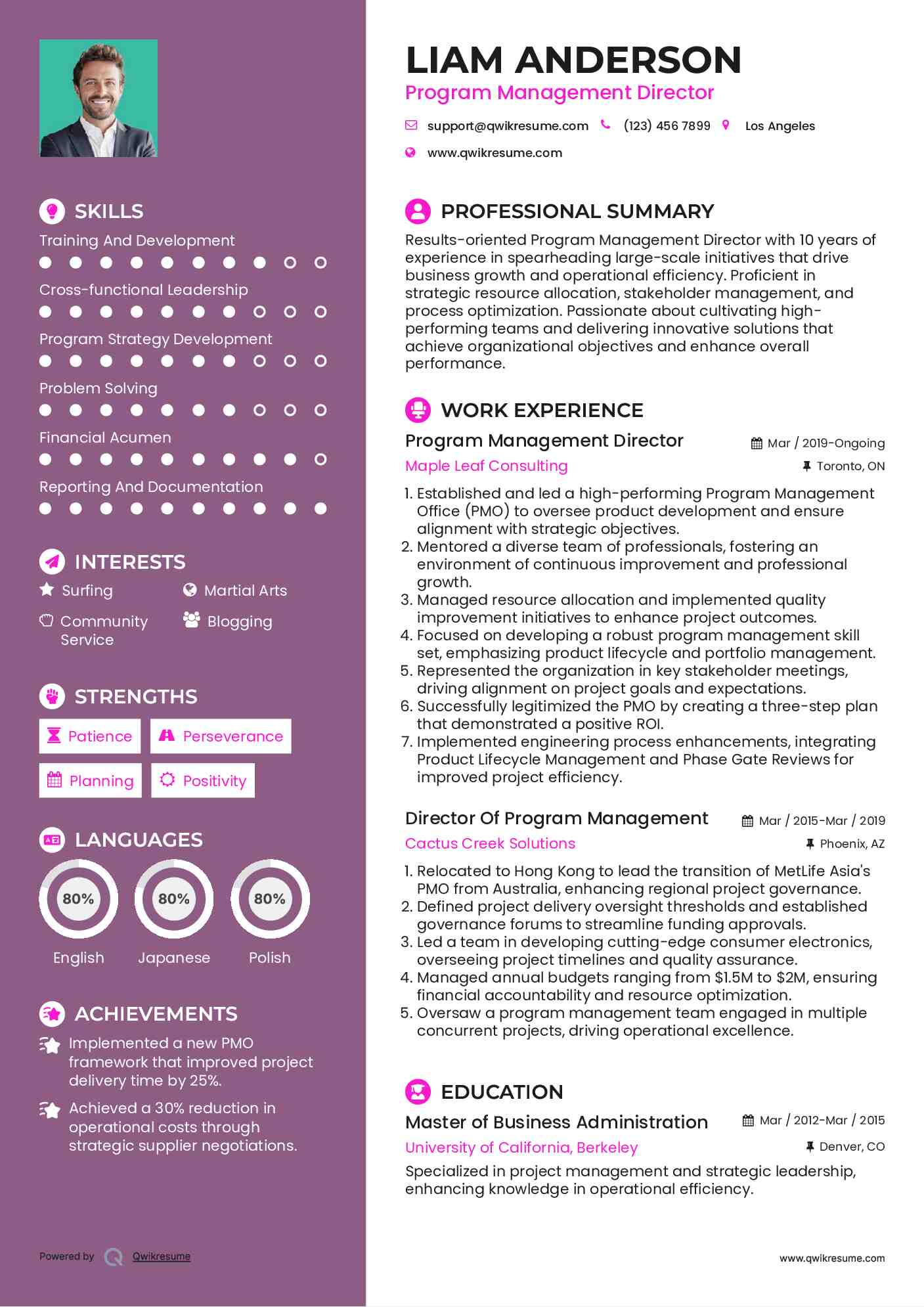 Program Management Director Resume Format