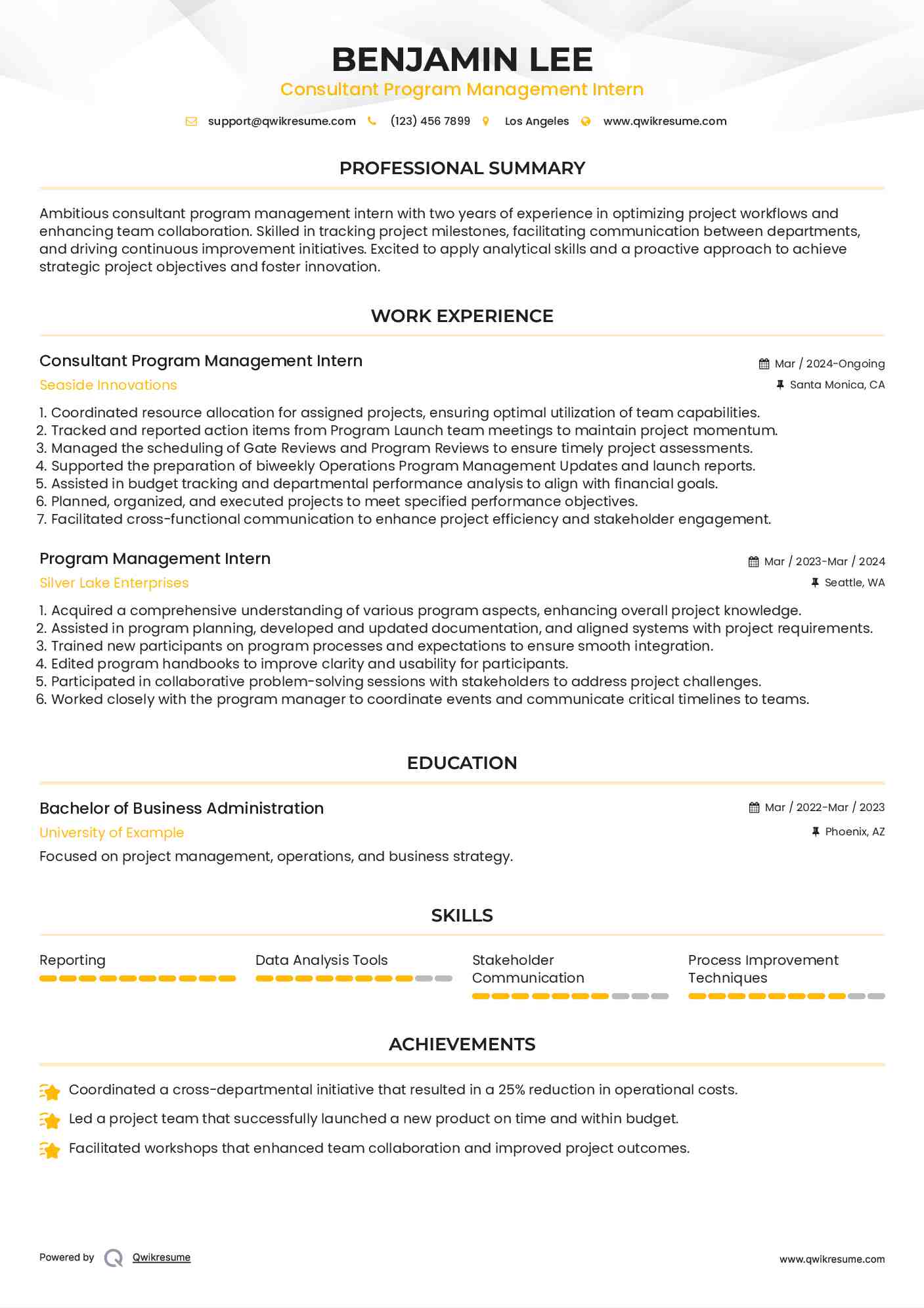 Consultant Program Management Intern Resume Example