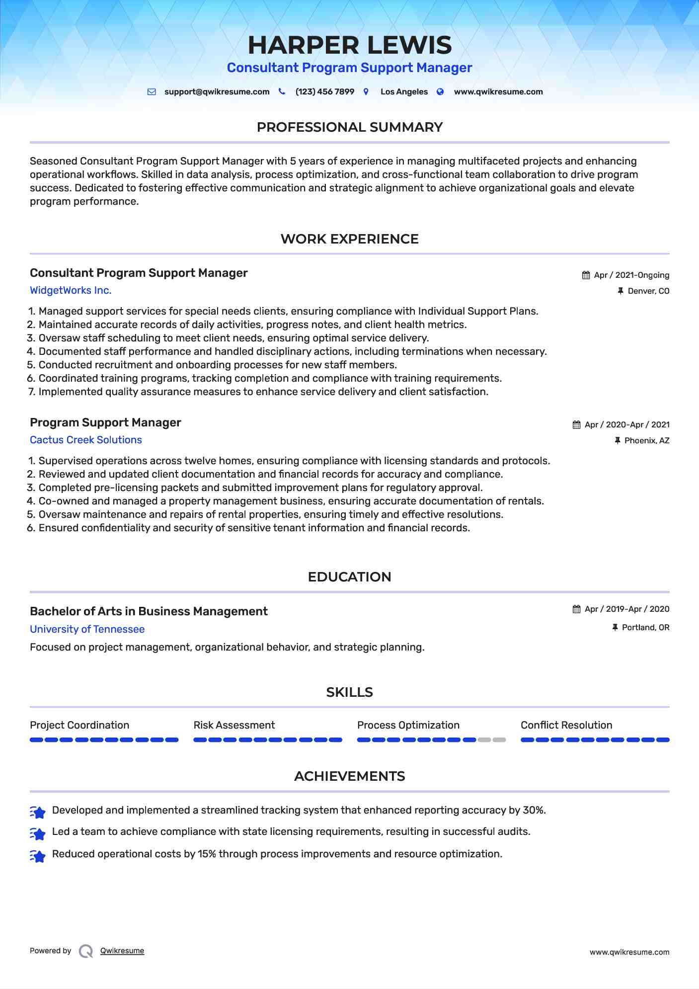 Consultant Program Support Manager Resume Model