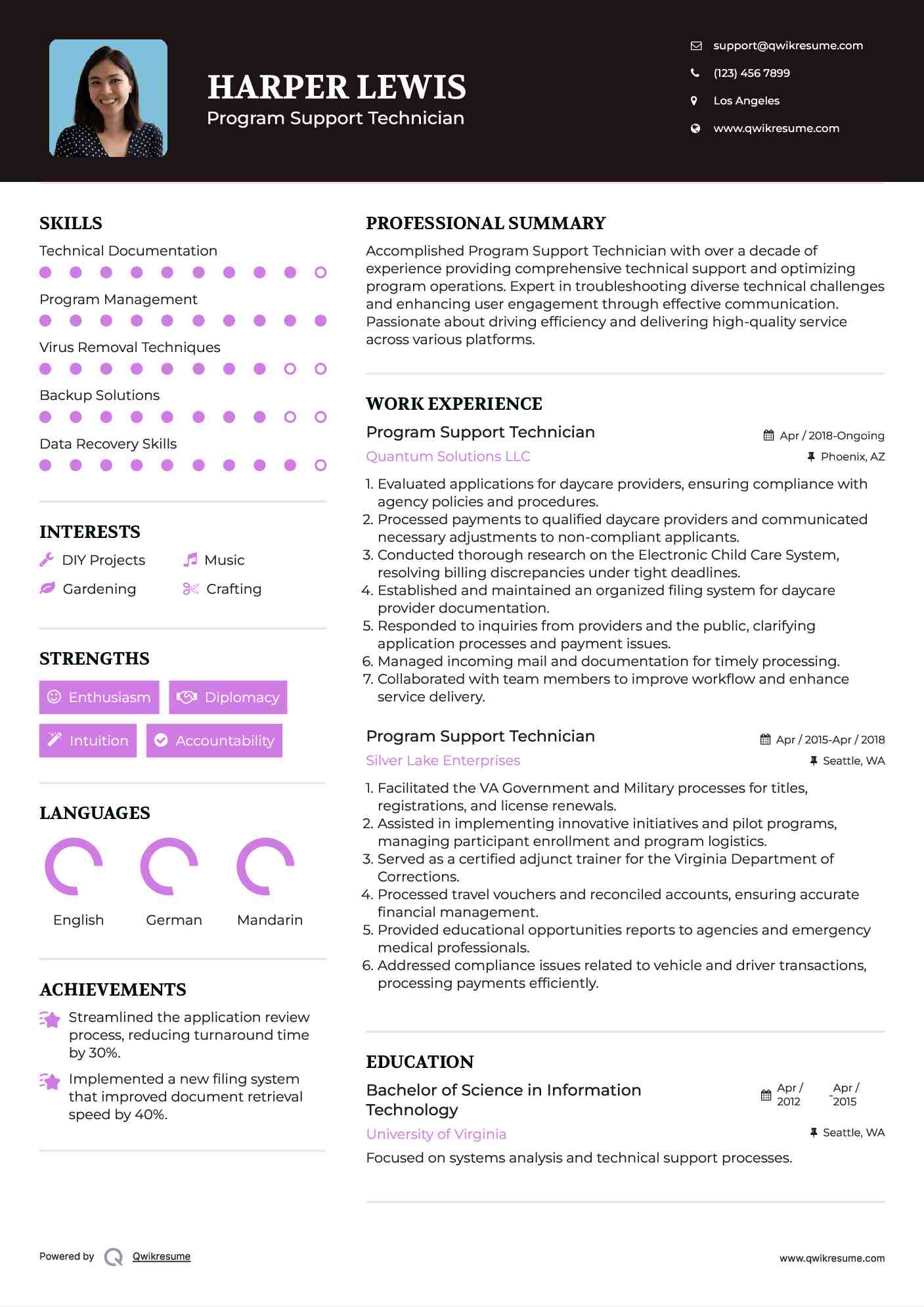 Program Support Technician Resume Template