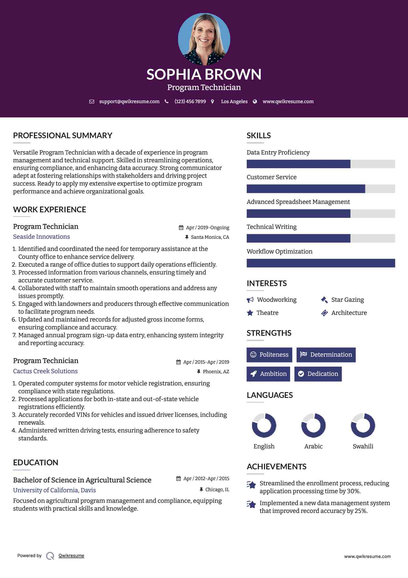 Program Technician Resume Example
