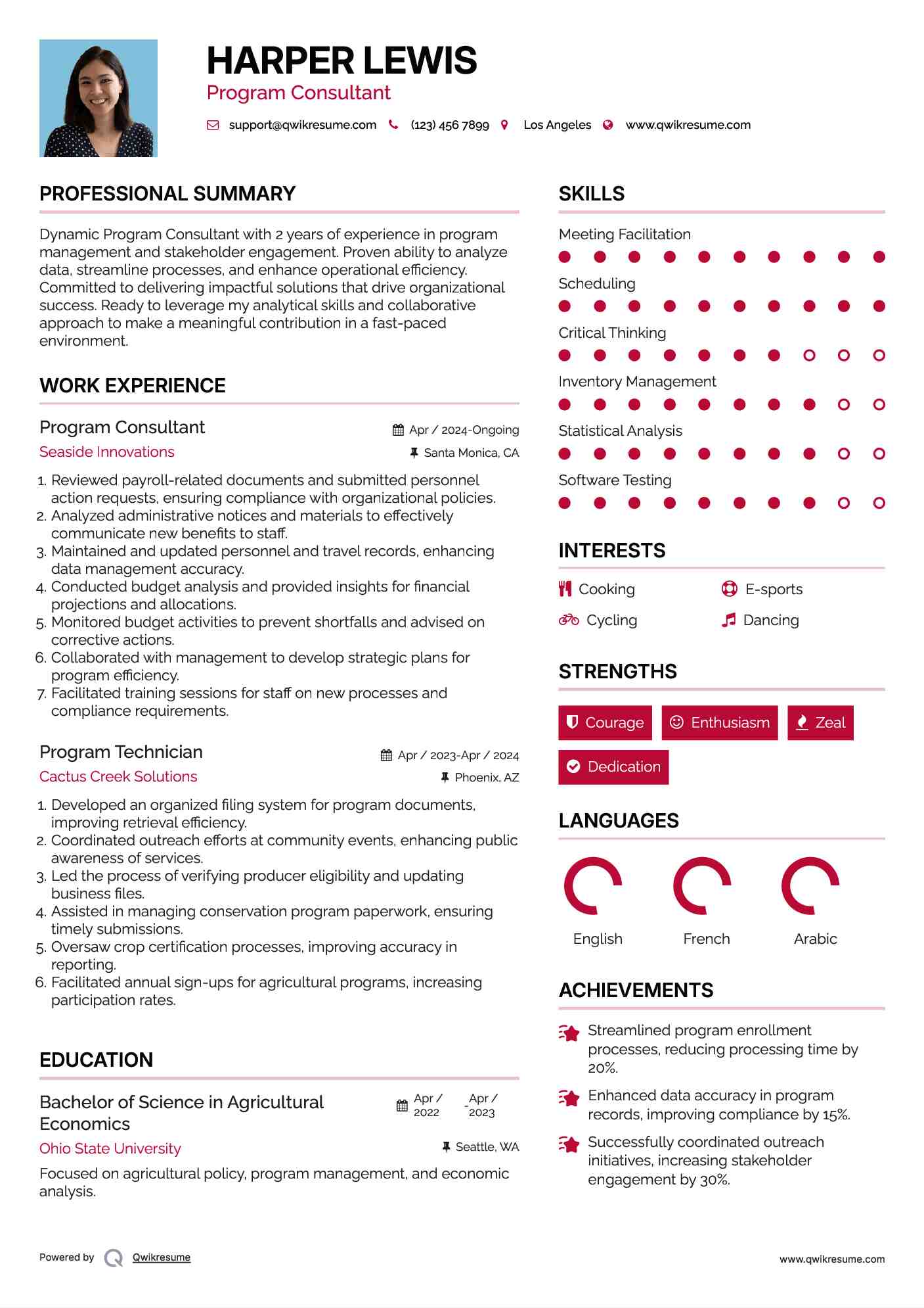 Program Consultant Resume Model