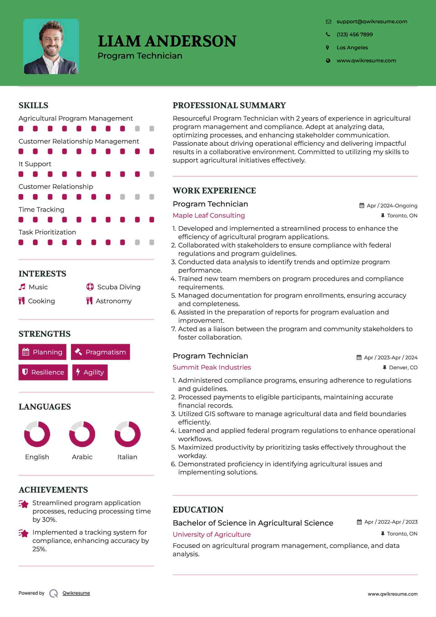 Program Technician Resume Example