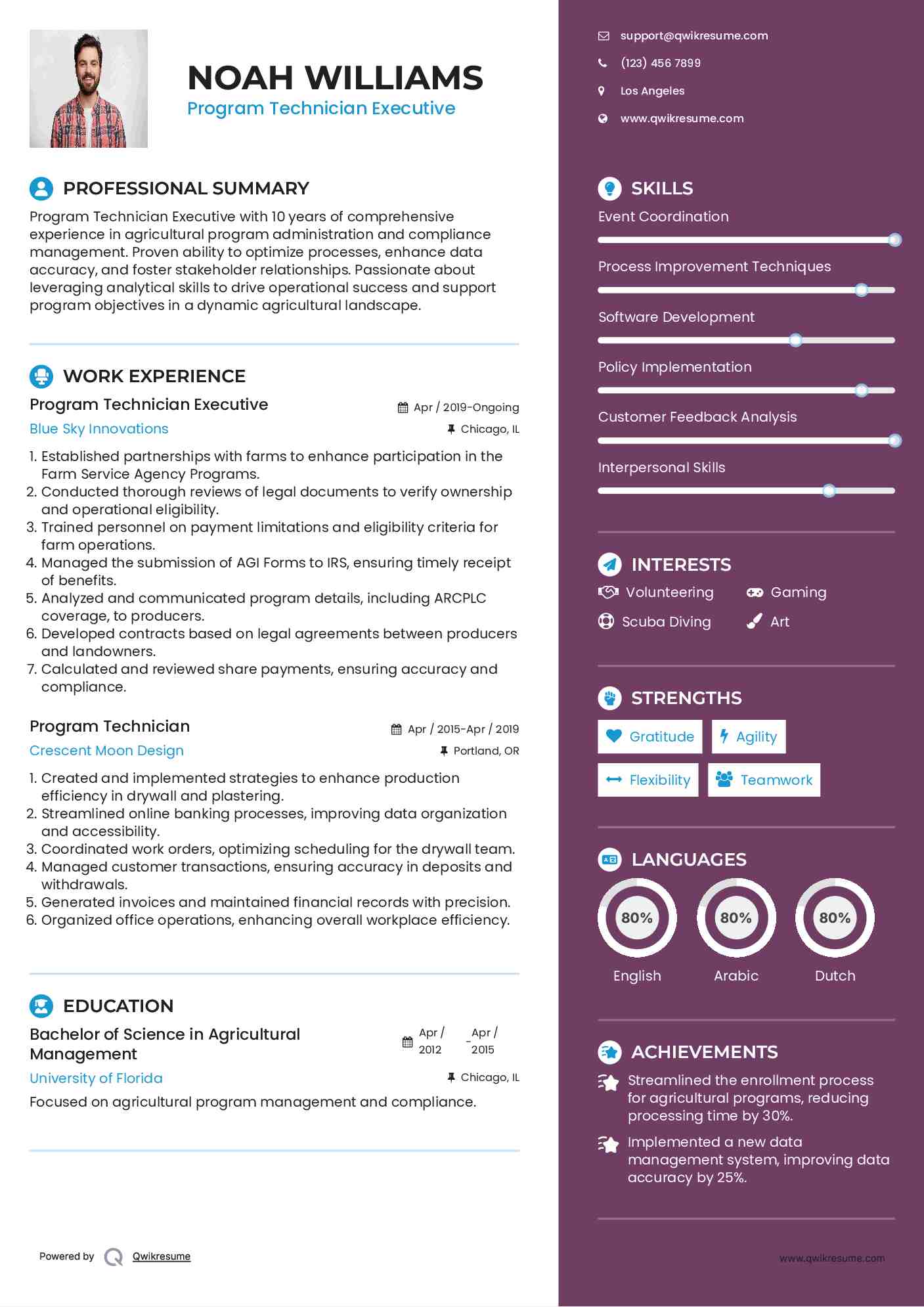 Program Technician Executive Resume Template